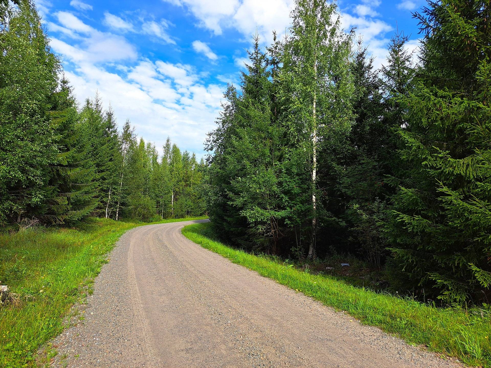 Evijärvi Särkikylä KORKEAMAA 3:104 metsätila 17,2 ha 2