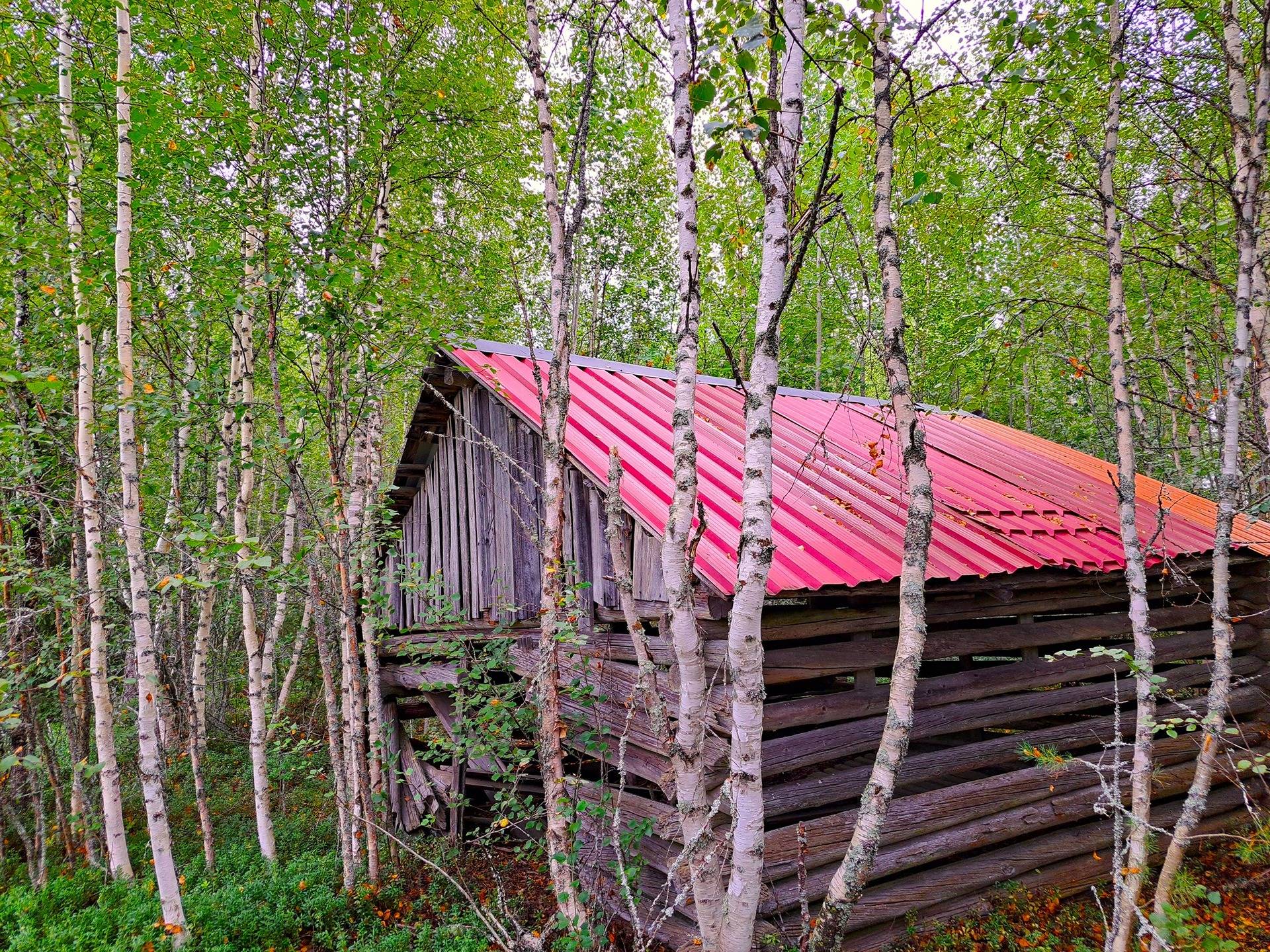 Evijärvi Särkikylä KORKEAMAA 3:104 metsätila 17,2 ha 9