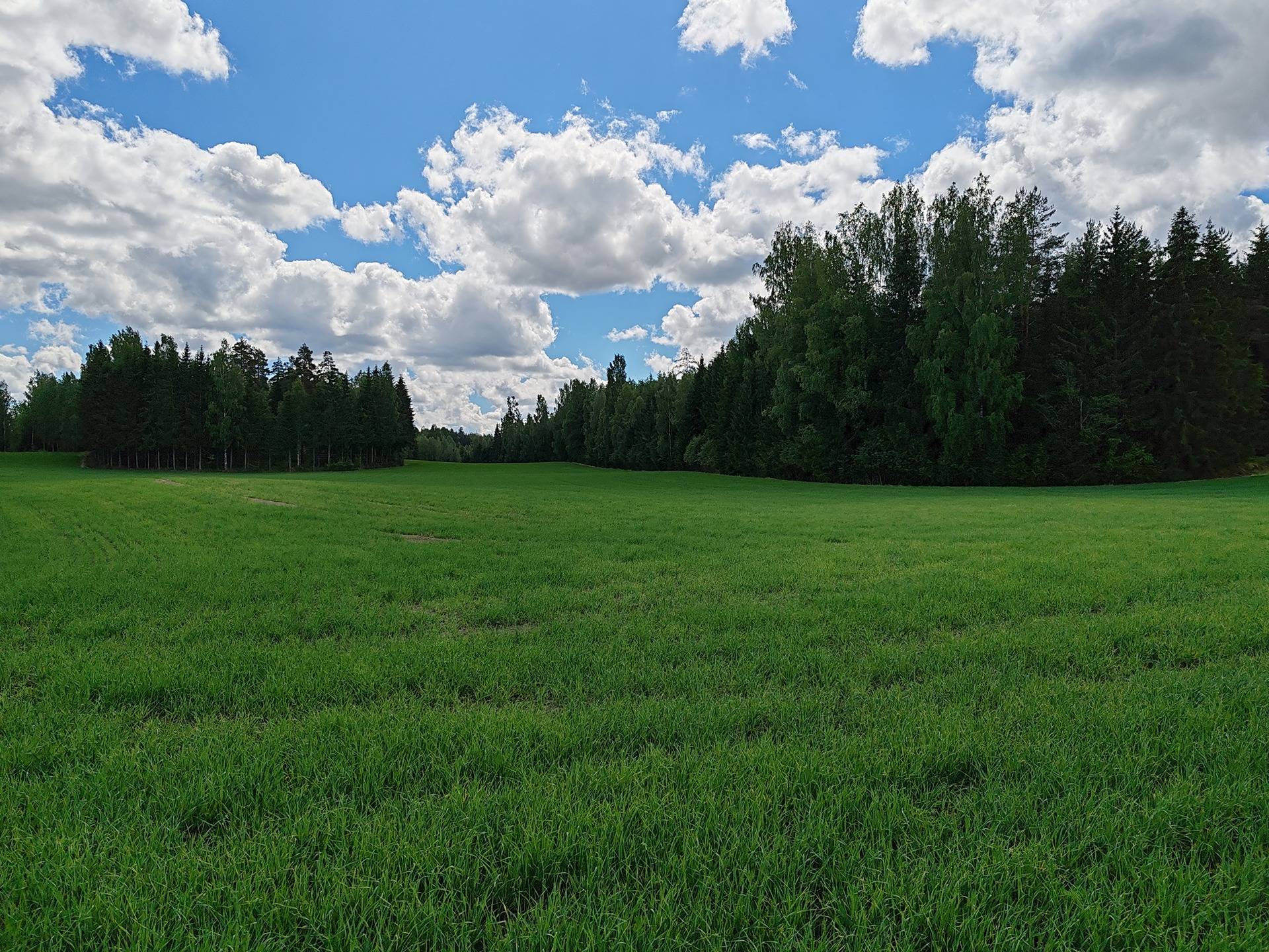 Maatila rakennuksineen Lohjan Leppäkorvessa, rauhallisella sijainnilla mutta vain 60 km kehä-III:lta. 29