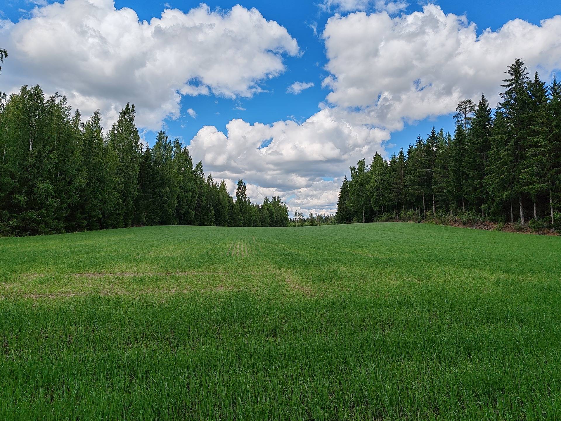 Maatila rakennuksineen Lohjan Leppäkorvessa, rauhallisella sijainnilla mutta vain 60 km kehä-III:lta. 31