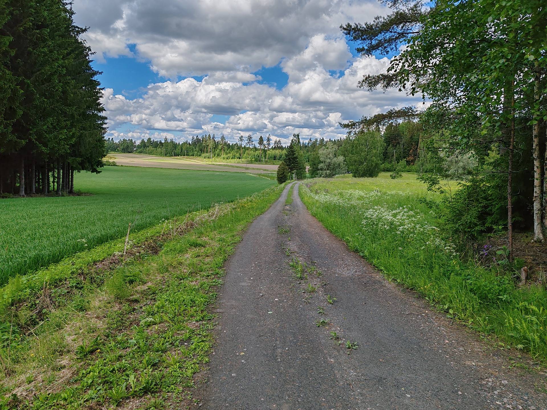 Maatila rakennuksineen Lohjan Leppäkorvessa, rauhallisella sijainnilla mutta vain 60 km kehä-III:lta. 33