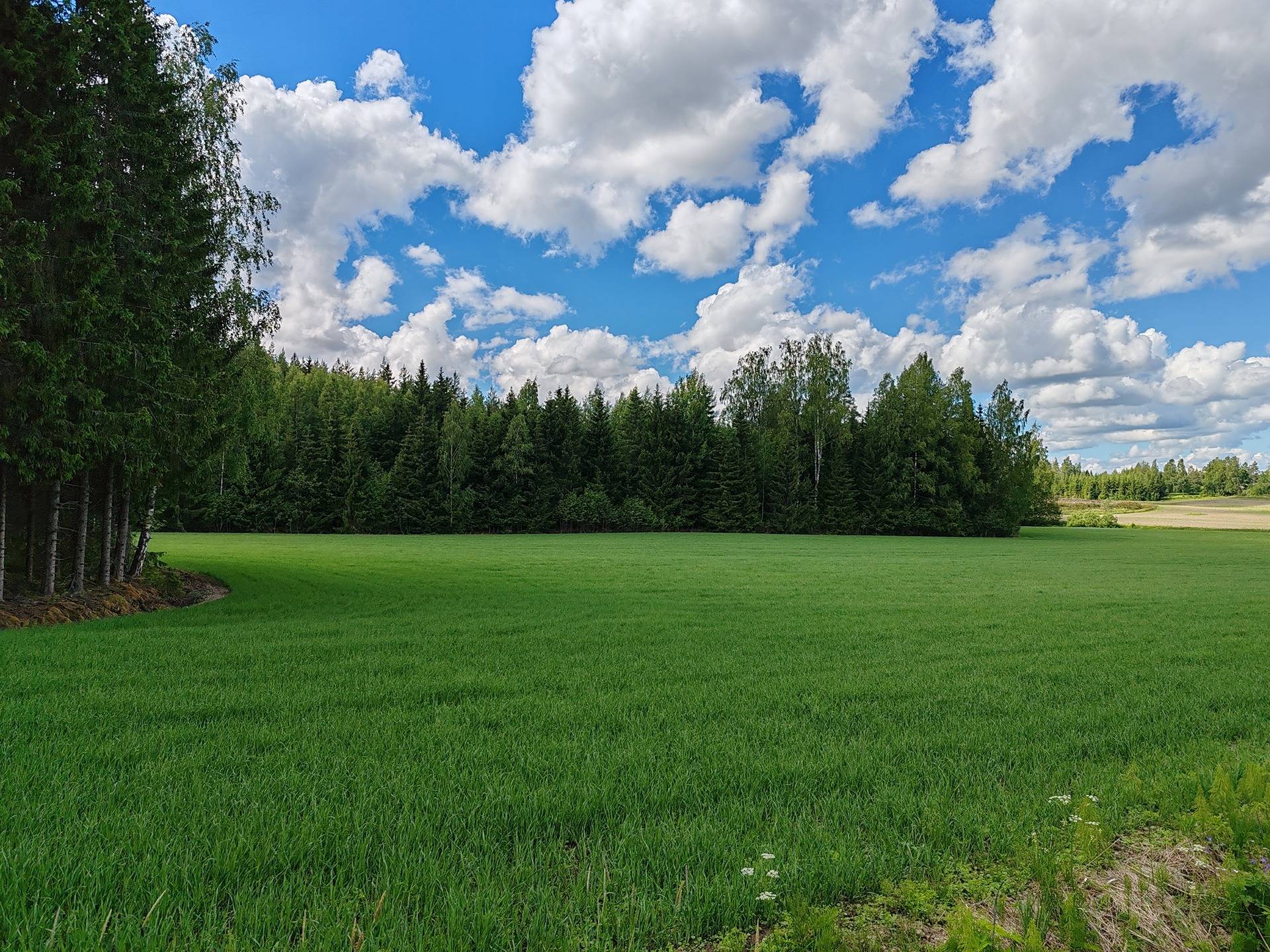 Maatila rakennuksineen Lohjan Leppäkorvessa, rauhallisella sijainnilla mutta vain 60 km kehä-III:lta. 34