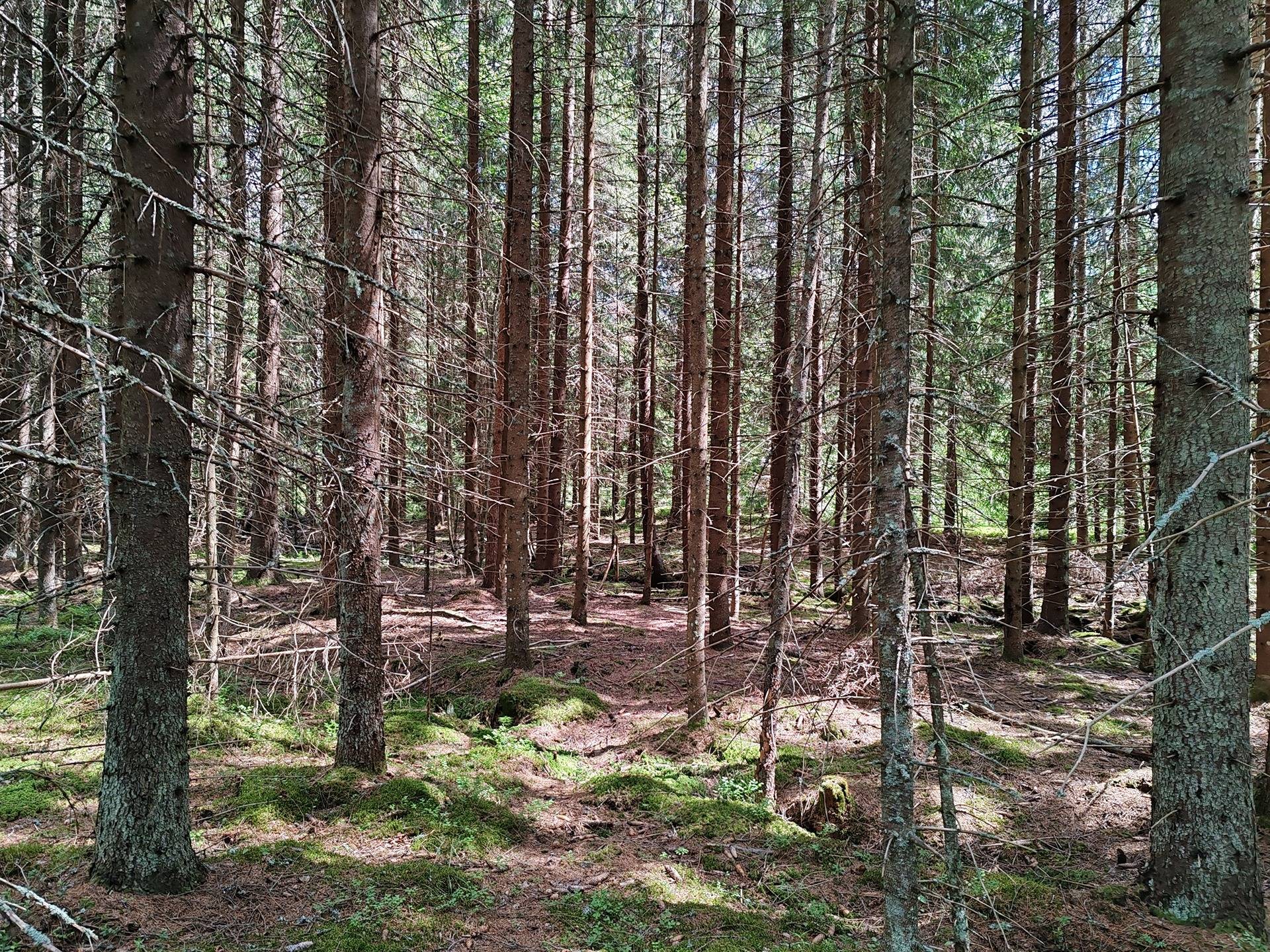 Maatila rakennuksineen Lohjan Leppäkorvessa, rauhallisella sijainnilla mutta vain 60 km kehä-III:lta. 35