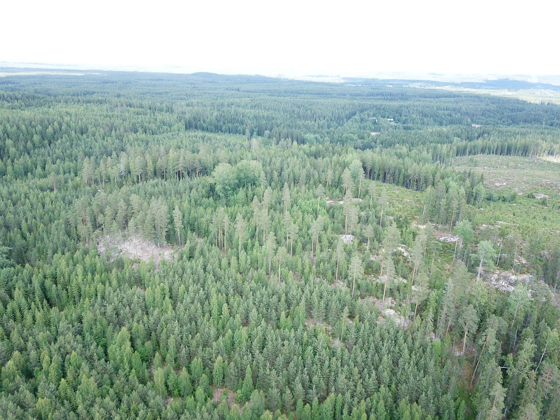 Orivesi, Onnistaipale, metsätila, Notkola 11