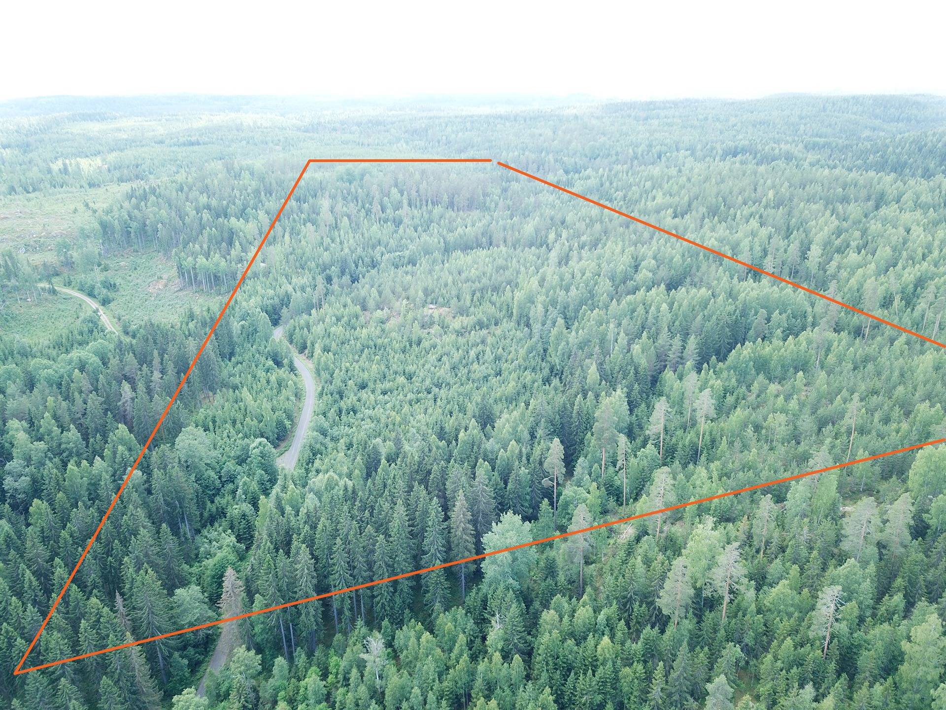 Orivesi, Onnistaipale, metsätila, Notkola 8