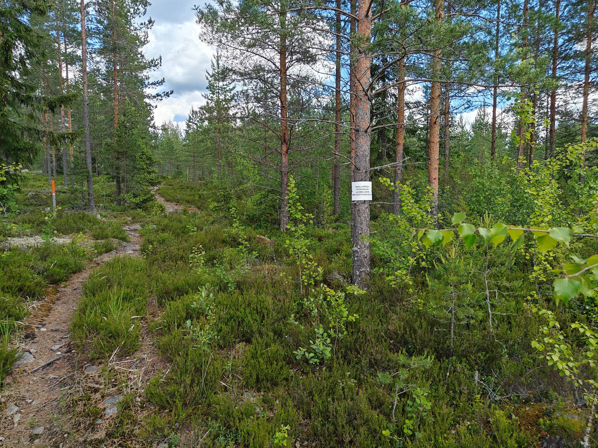 Alajärvi, Naurisaho 5-401-113-3 9