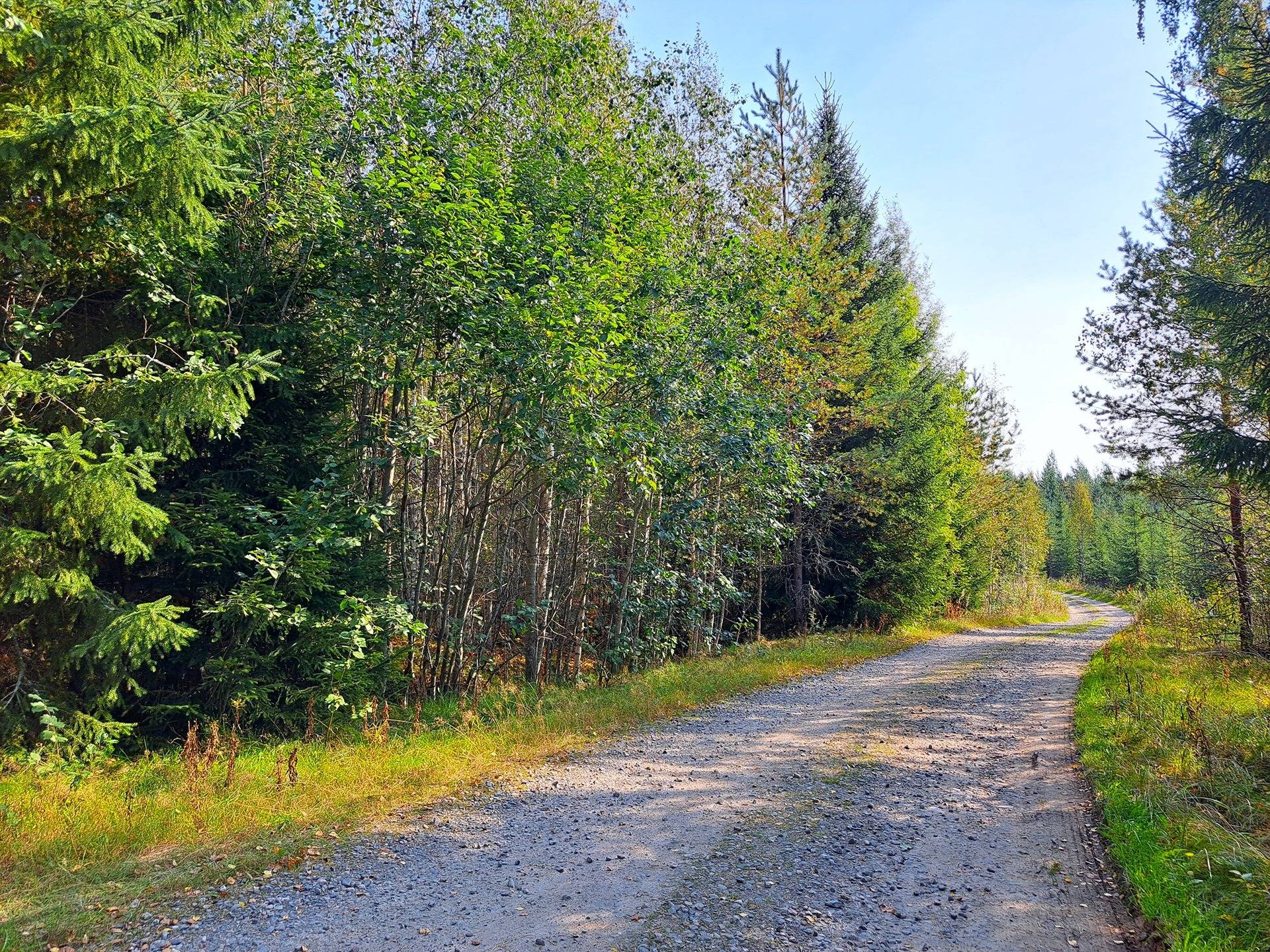 Evijärvi Kattilakoski metsäpalstakokonaisuus noin 36,43 ha 14