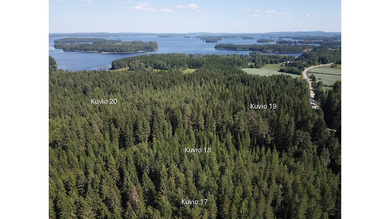 Laajanharju 297-419-2-56 määräala 6