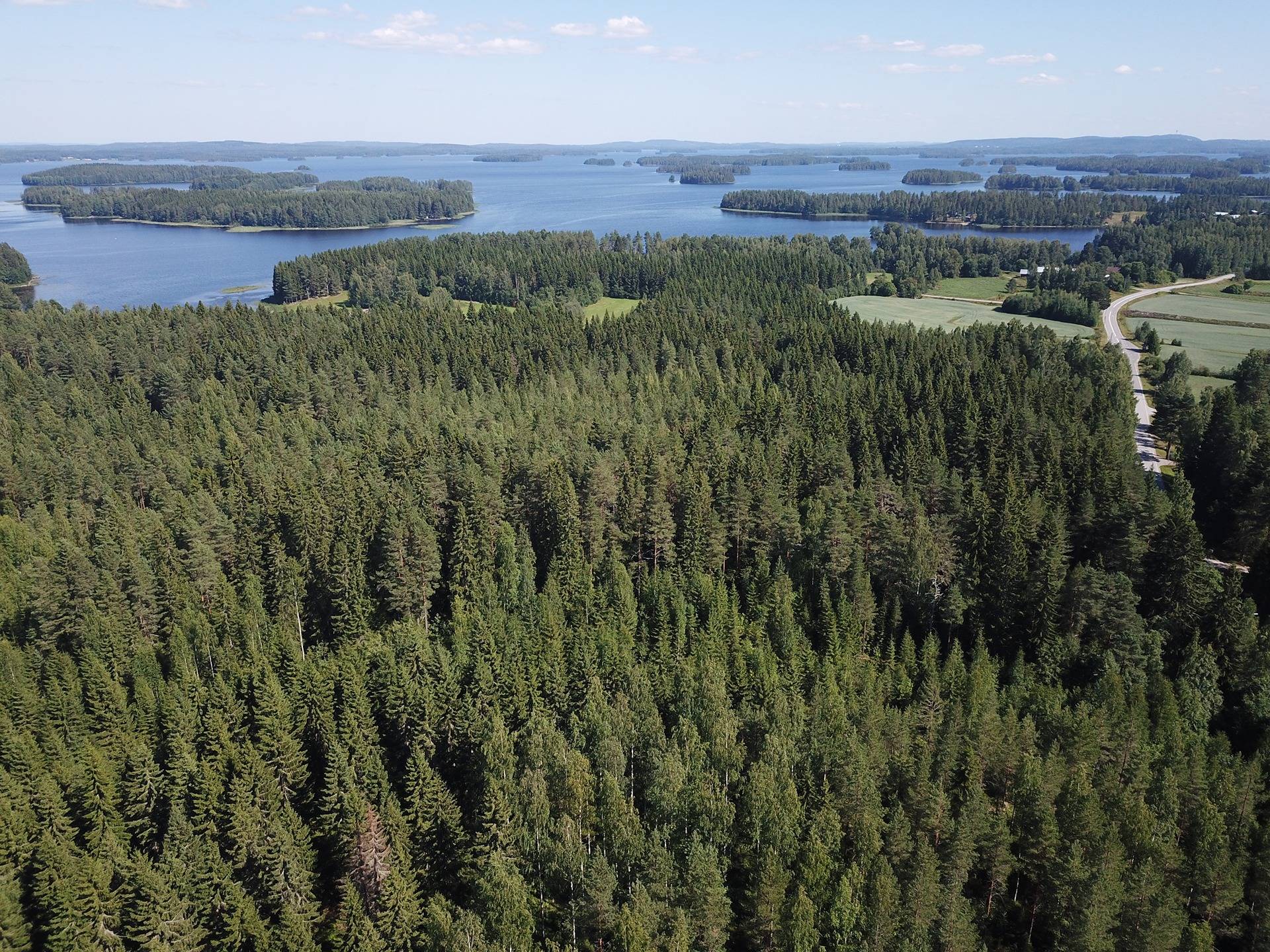 Omslagsbild för objektet Laajanharju 297-419-2-56 määräala