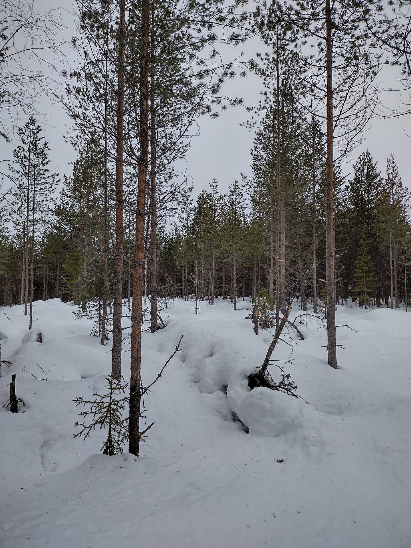 Lehtomäki 832-401-8-13 6