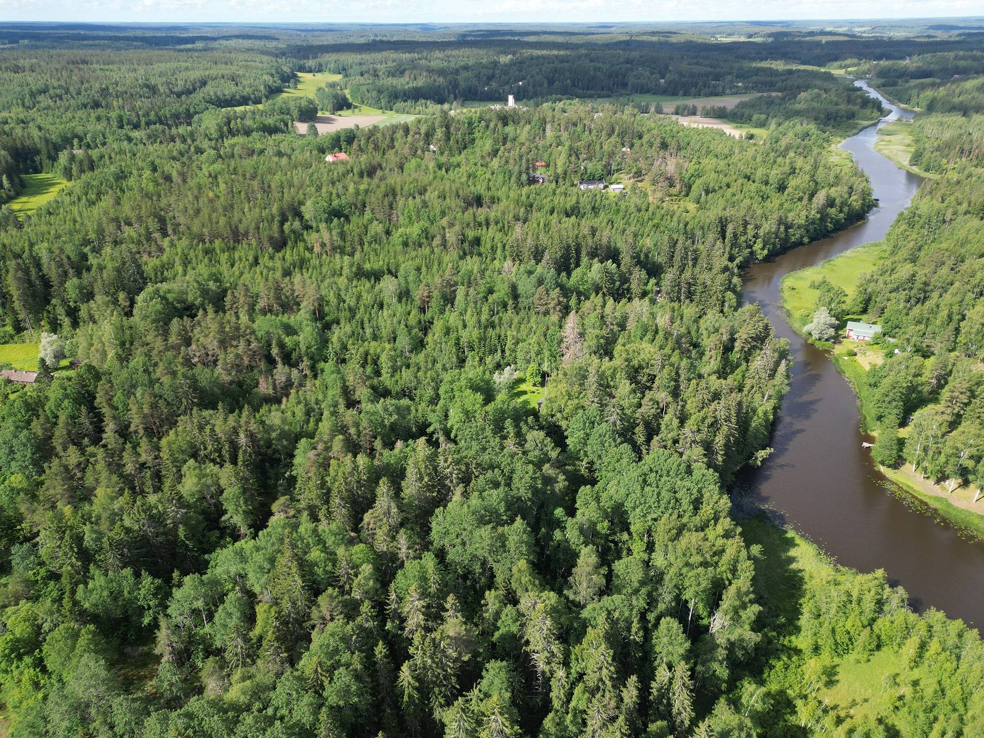 Metsätila Joentörmä 1:132 Salo, Lappinen 5