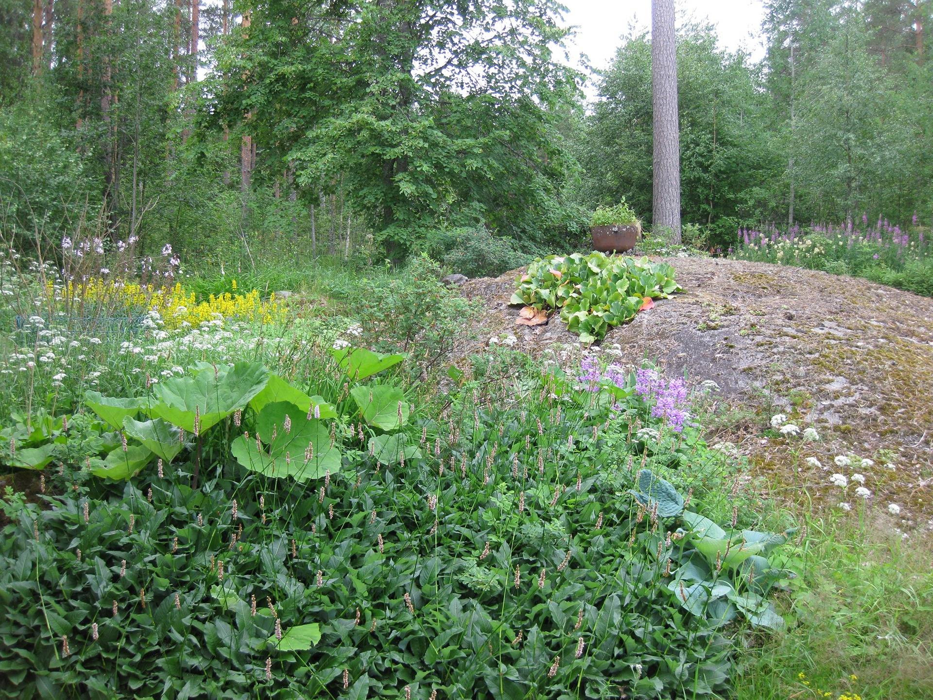 Metsätila asuintalolla Metsäranta 8