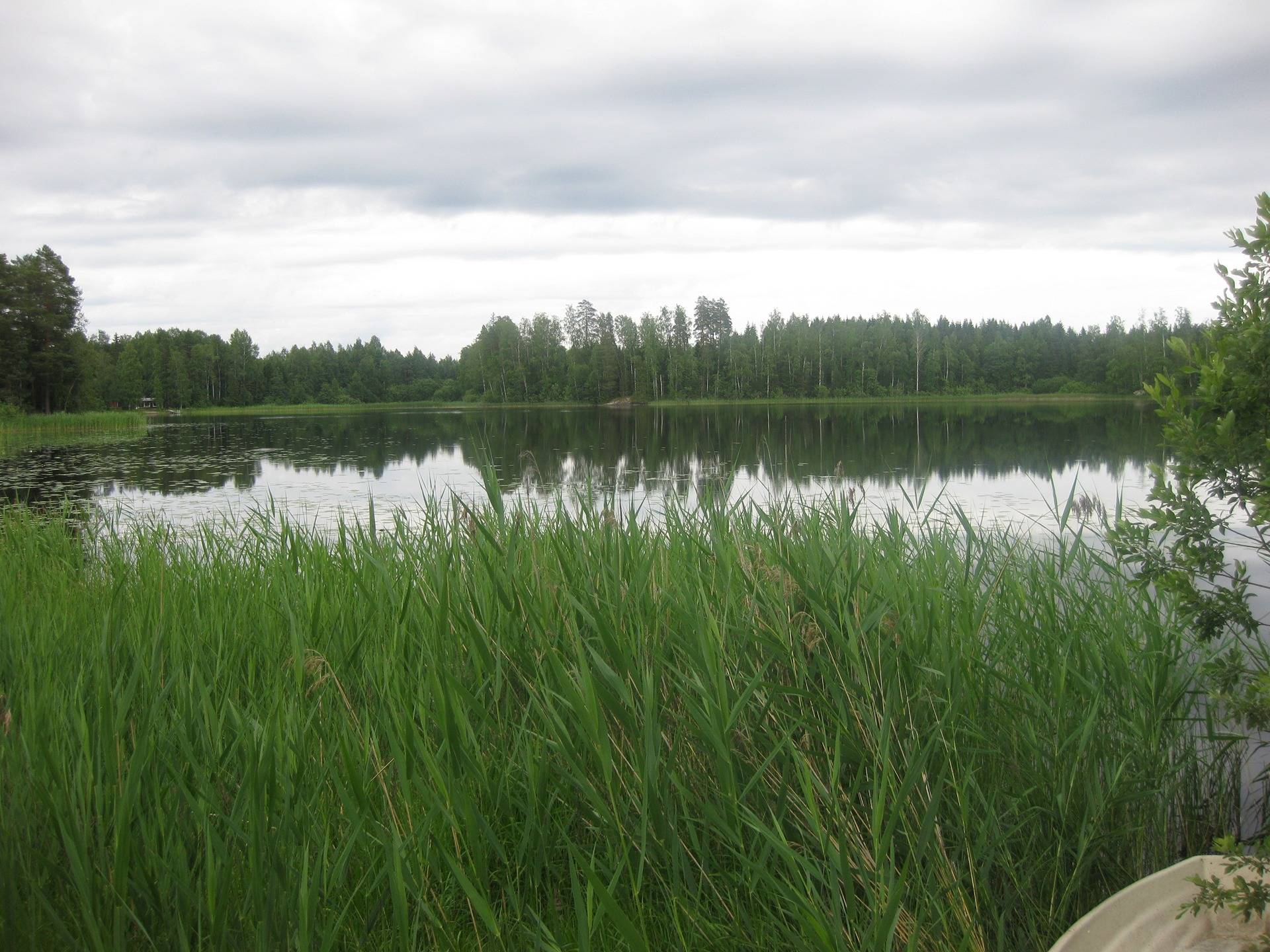 Metsätila asuintalolla Metsäranta 55