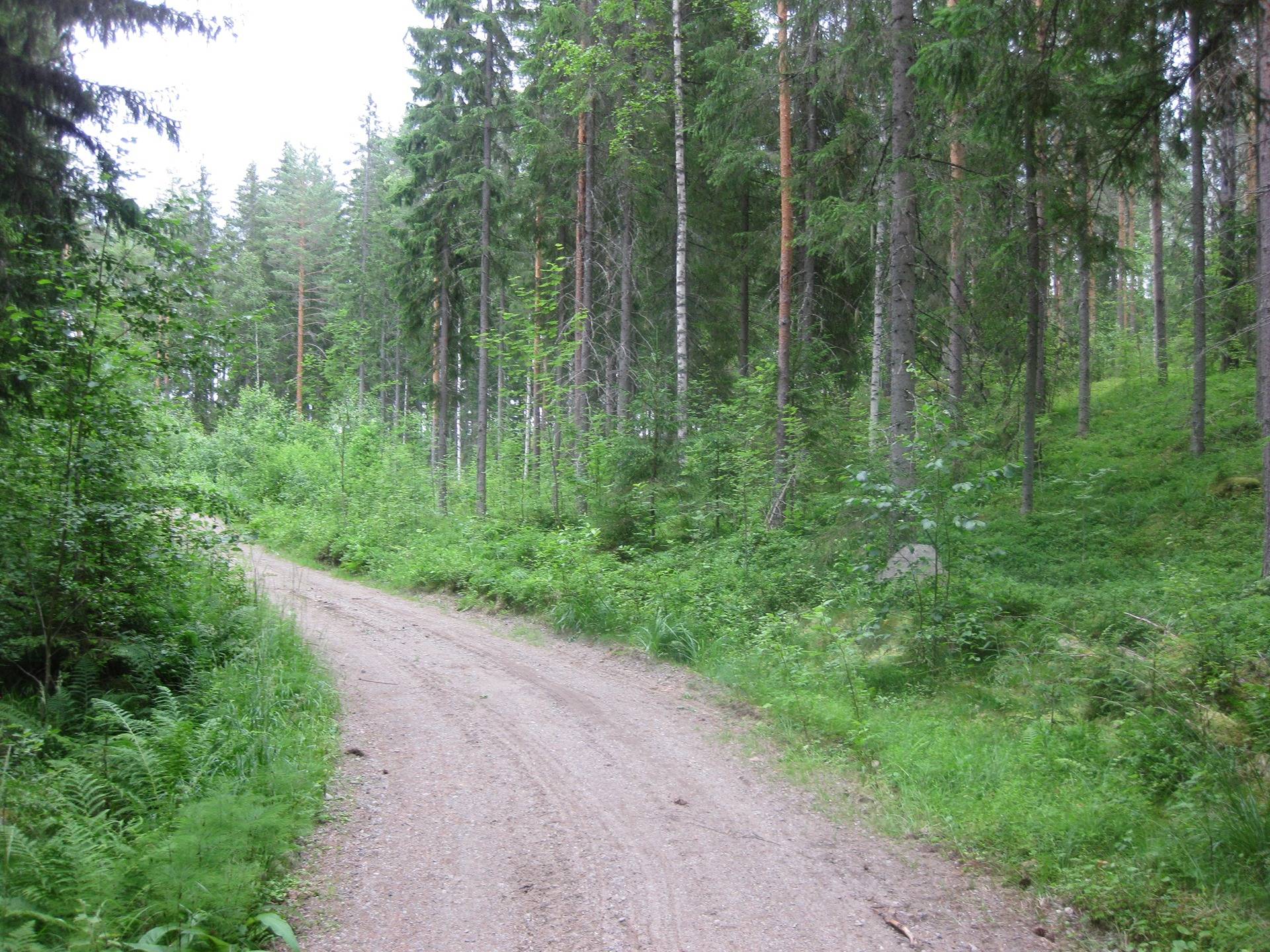 Metsätila asuintalolla Metsäranta 61