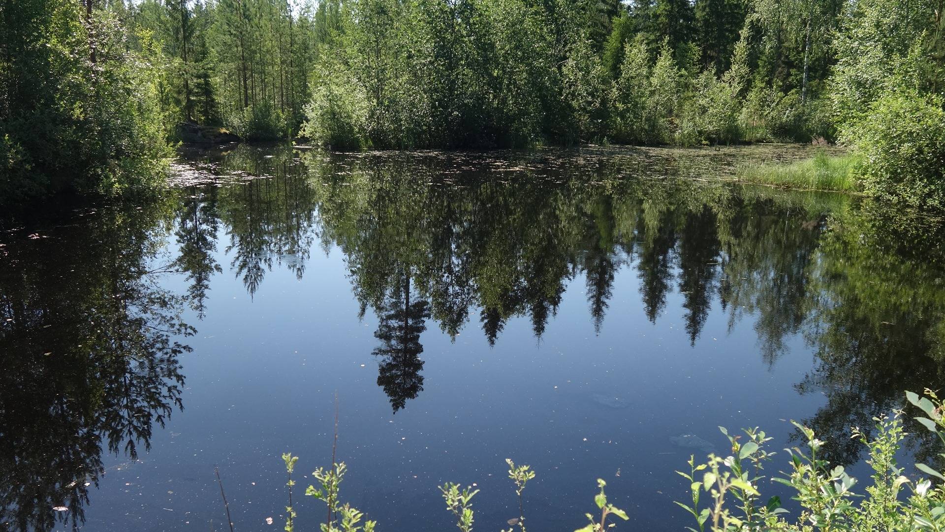 Kansikuva kohteelle Tupamäki 2:112