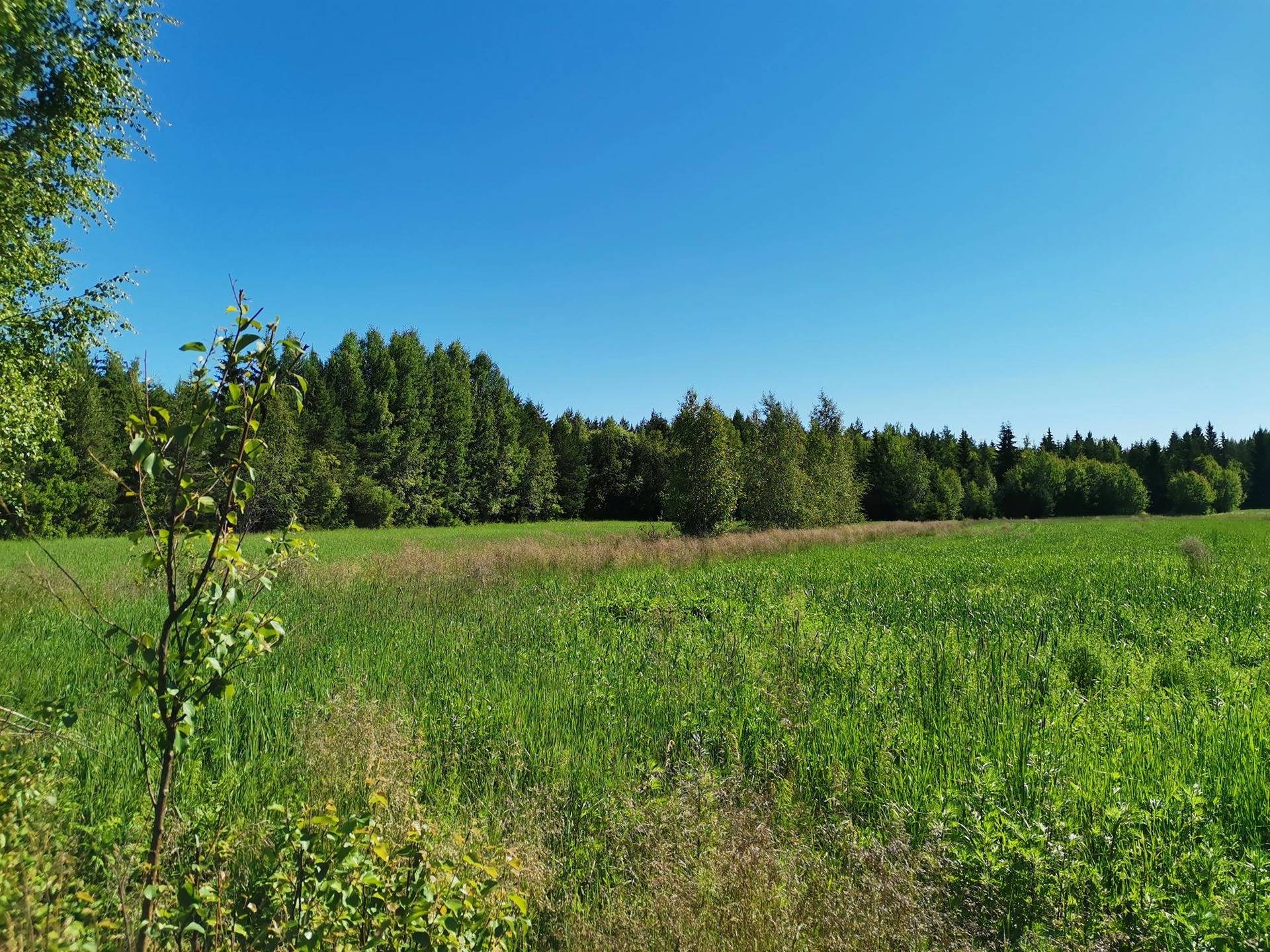 Kansikuva kohteelle Maatilakokonaisuus yht 12,814 ha, 400-448-7-5 RIIKNIITTY JA 400-412-2-23 METSOLA. Laitila, Koivulantie.