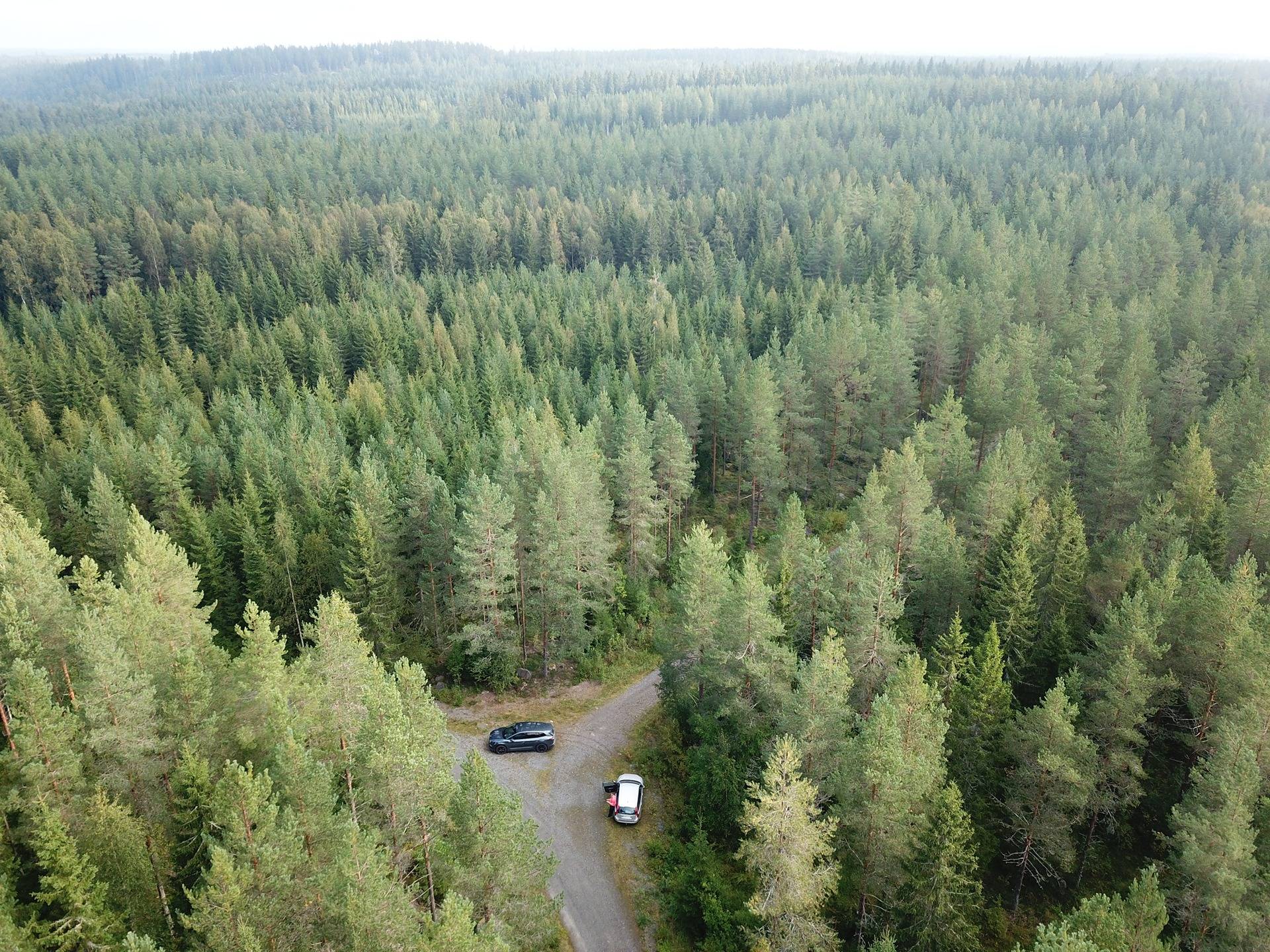 Orivesi, Yliskylä, metsätila Säynäjärvi 5