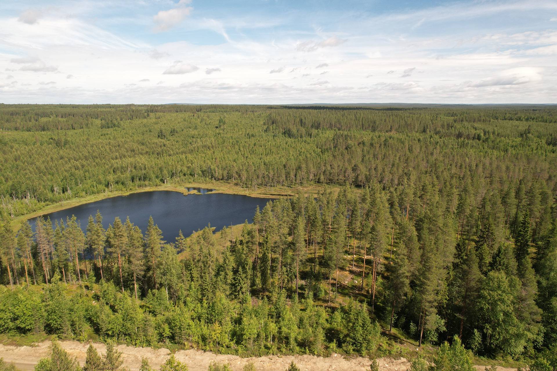 Kansikuva kohteelle JAAKKOLA I 620-405-91-0 ja SYRJÄLÄ 620-405-28-1 metsäkiinteistöt yht. 103,95 ha Törmänmäessä n. 44 km Puolangan kk:ltä