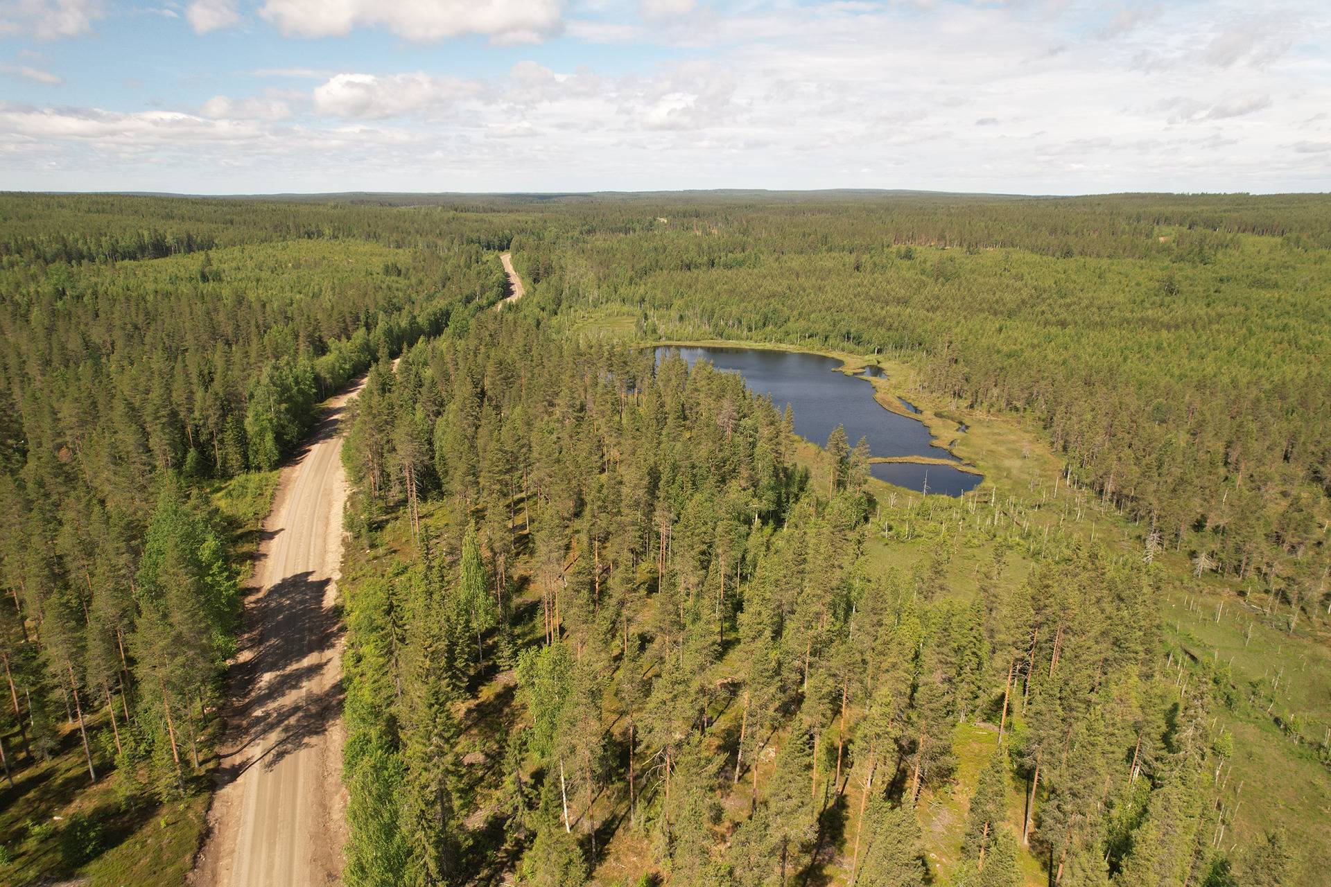 JAAKKOLA I 620-405-91-0 ja SYRJÄLÄ 620-405-28-1 metsäkiinteistöt yht. 103,95 ha Törmänmäessä n. 44 km Puolangan kk:ltä 2