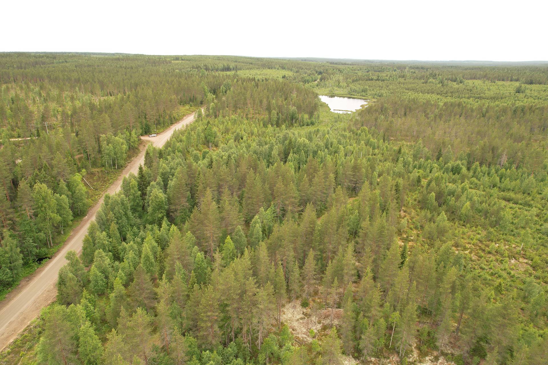 JAAKKOLA I 620-405-91-0 ja SYRJÄLÄ 620-405-28-1 metsäkiinteistöt yht. 103,95 ha Törmänmäessä n. 44 km Puolangan kk:ltä 18