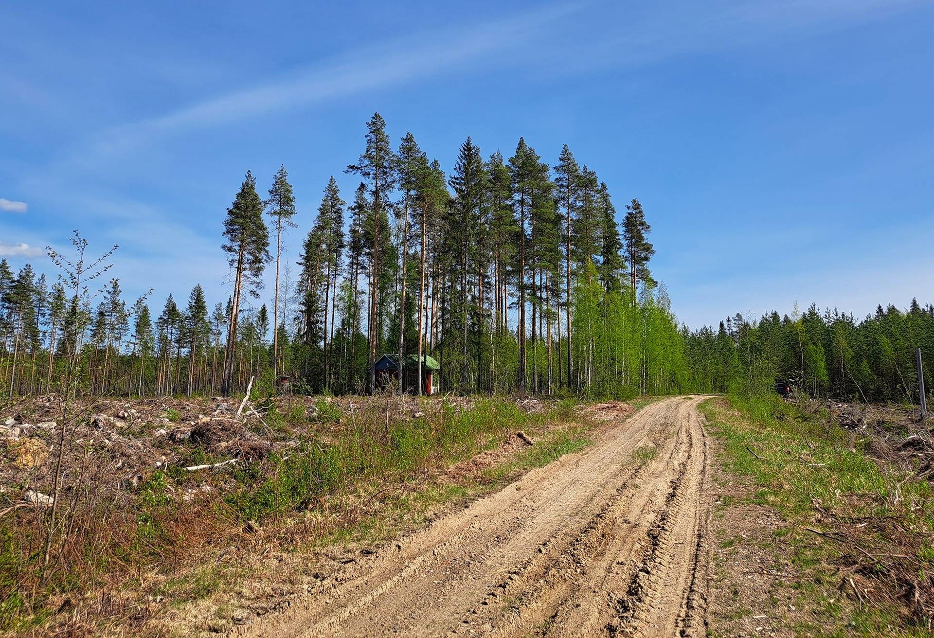 Vimpeli 32,1 ha metsätila SALO 5:308  16