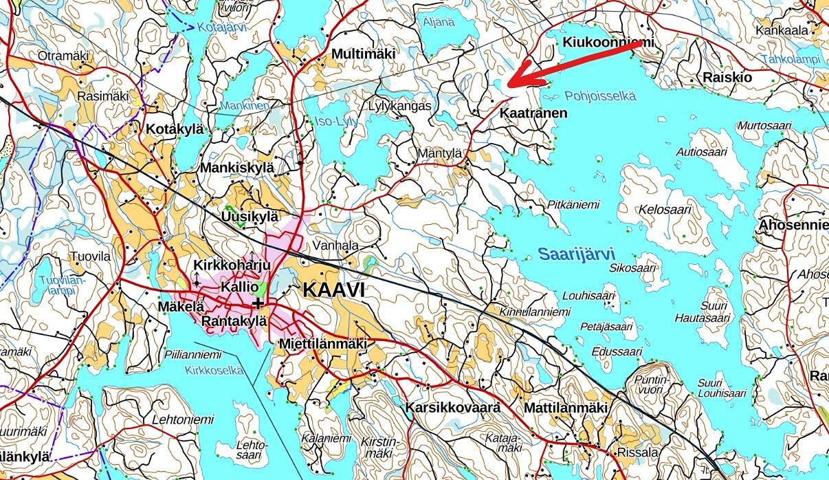 Metsäkaatranen ja Kaatronmetsä 1