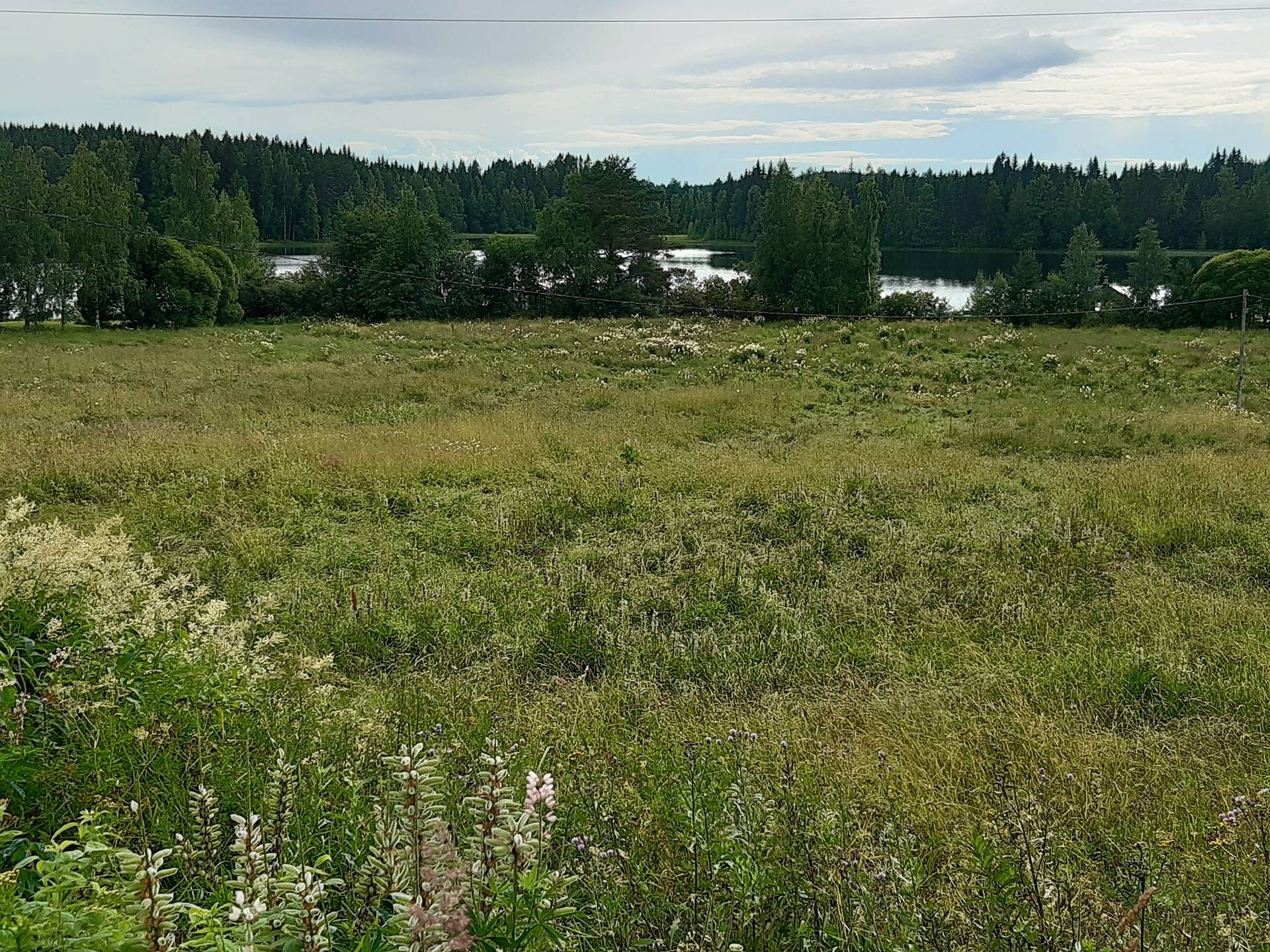 Alapelkolan tilasta määräala peltoa, Alapelkolantie  3