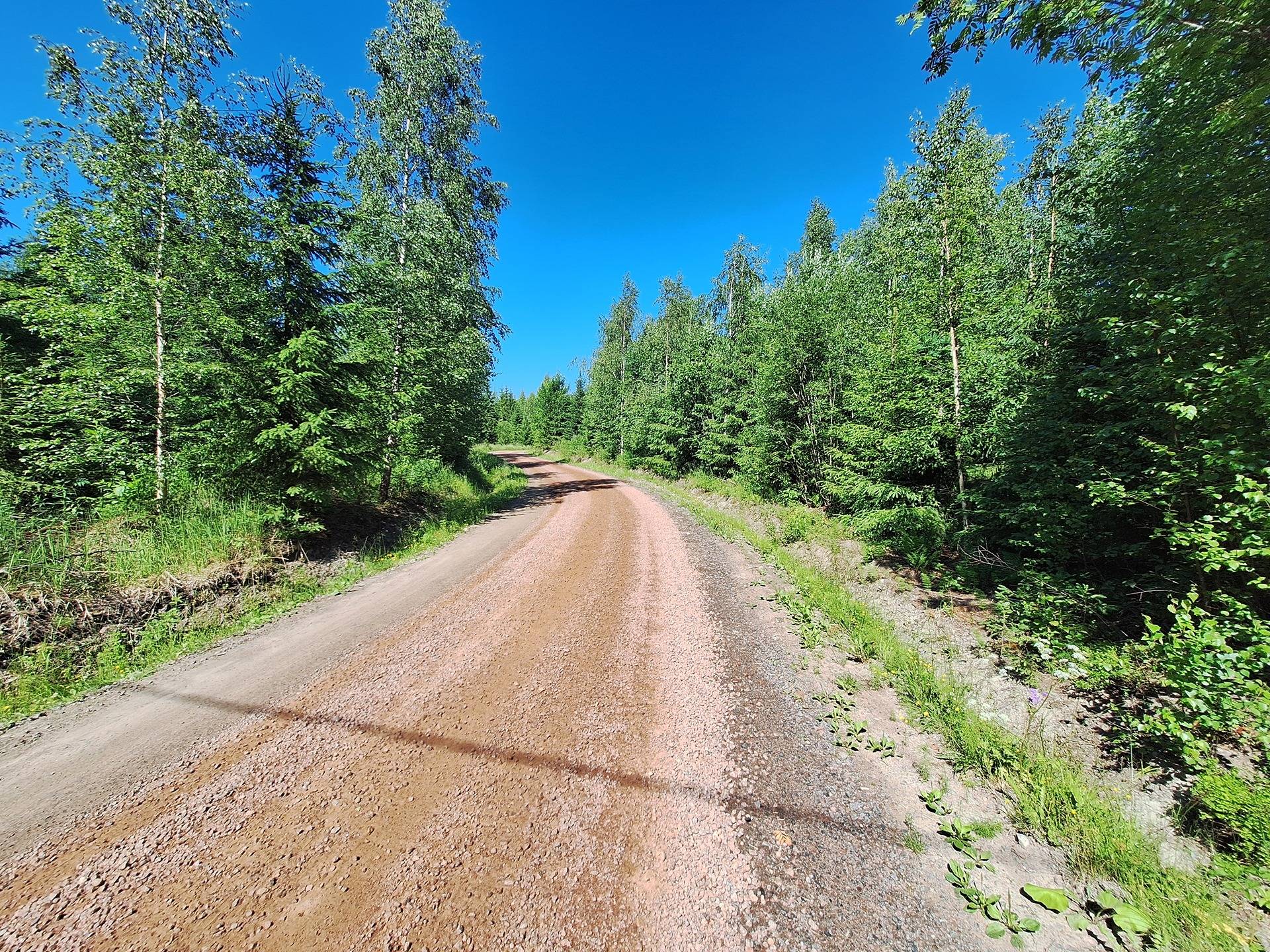 Järvirinne 2:127 8