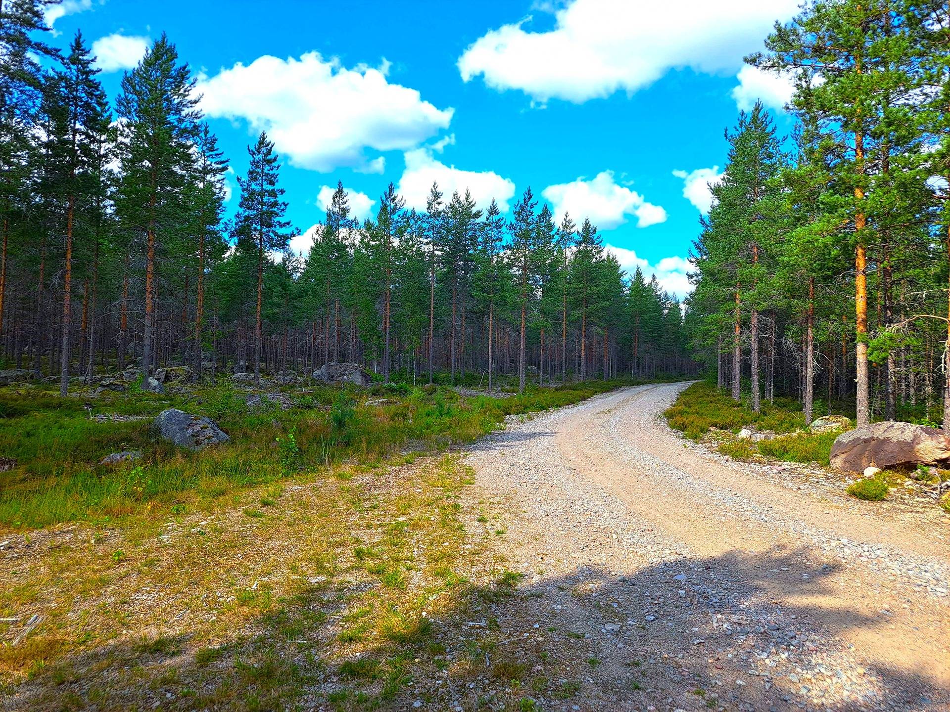 Halsua LISÄMAA 296:13 metsätila 45,96 ha. 2