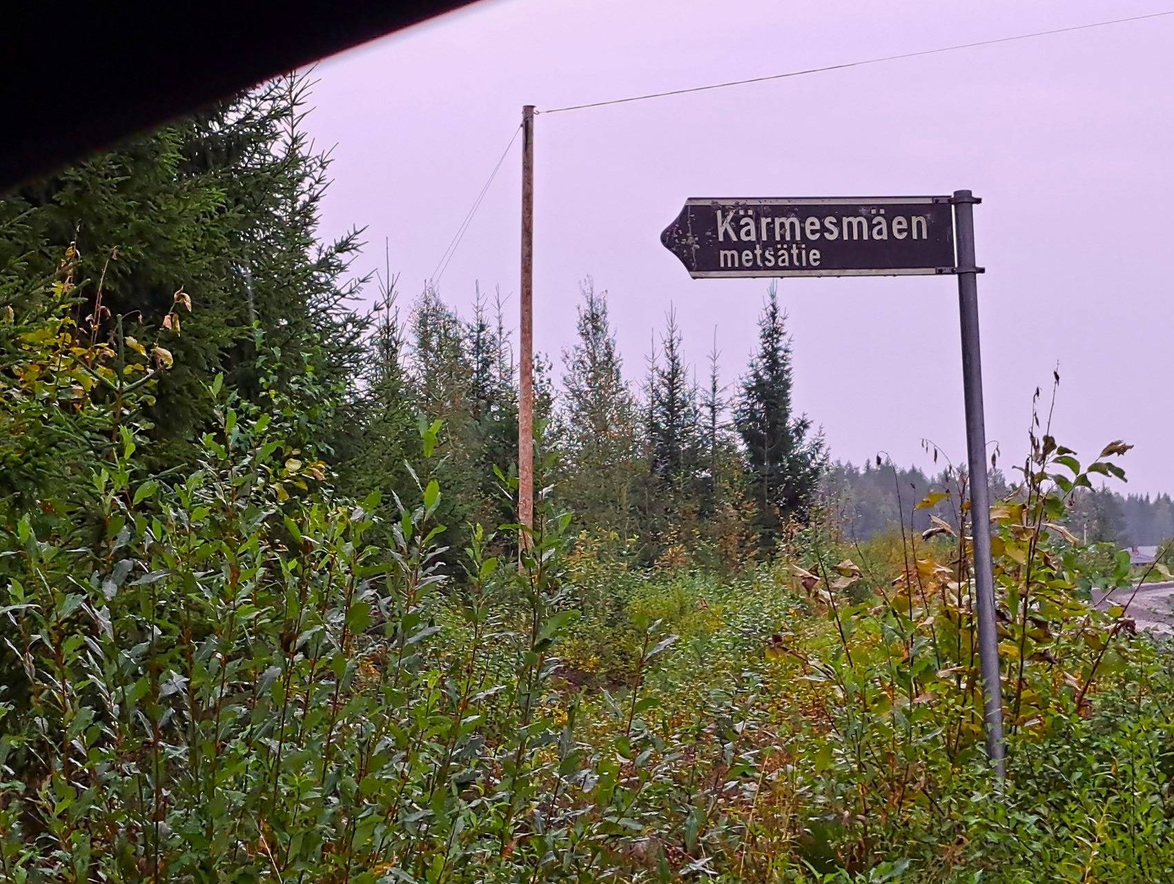 Kauhava Viinikka metsätilat 7,32 ha 2