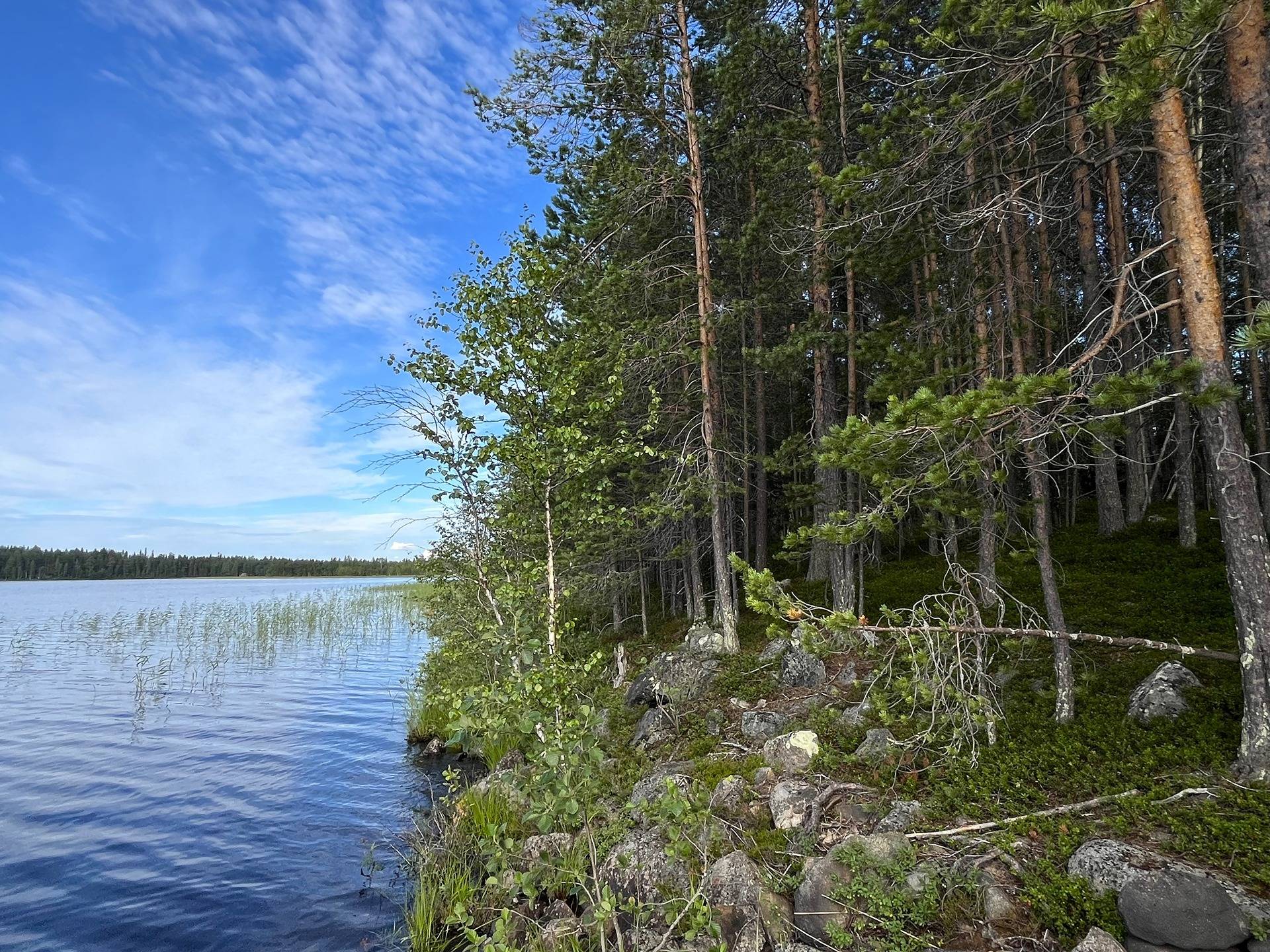 Omslagsbild för objektet 320-401-253-0-M601