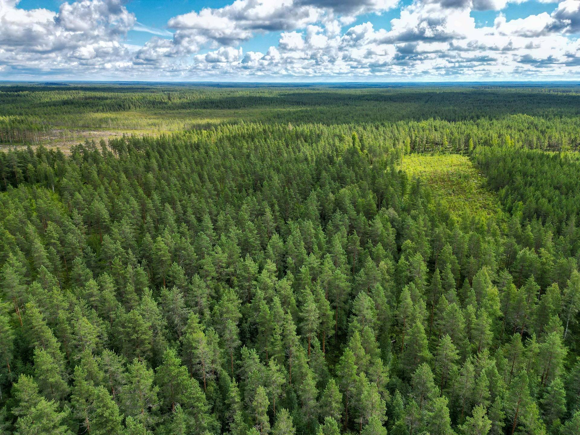 Seinäjoki, Mäenranta 10:120, kaksi palstaa 36