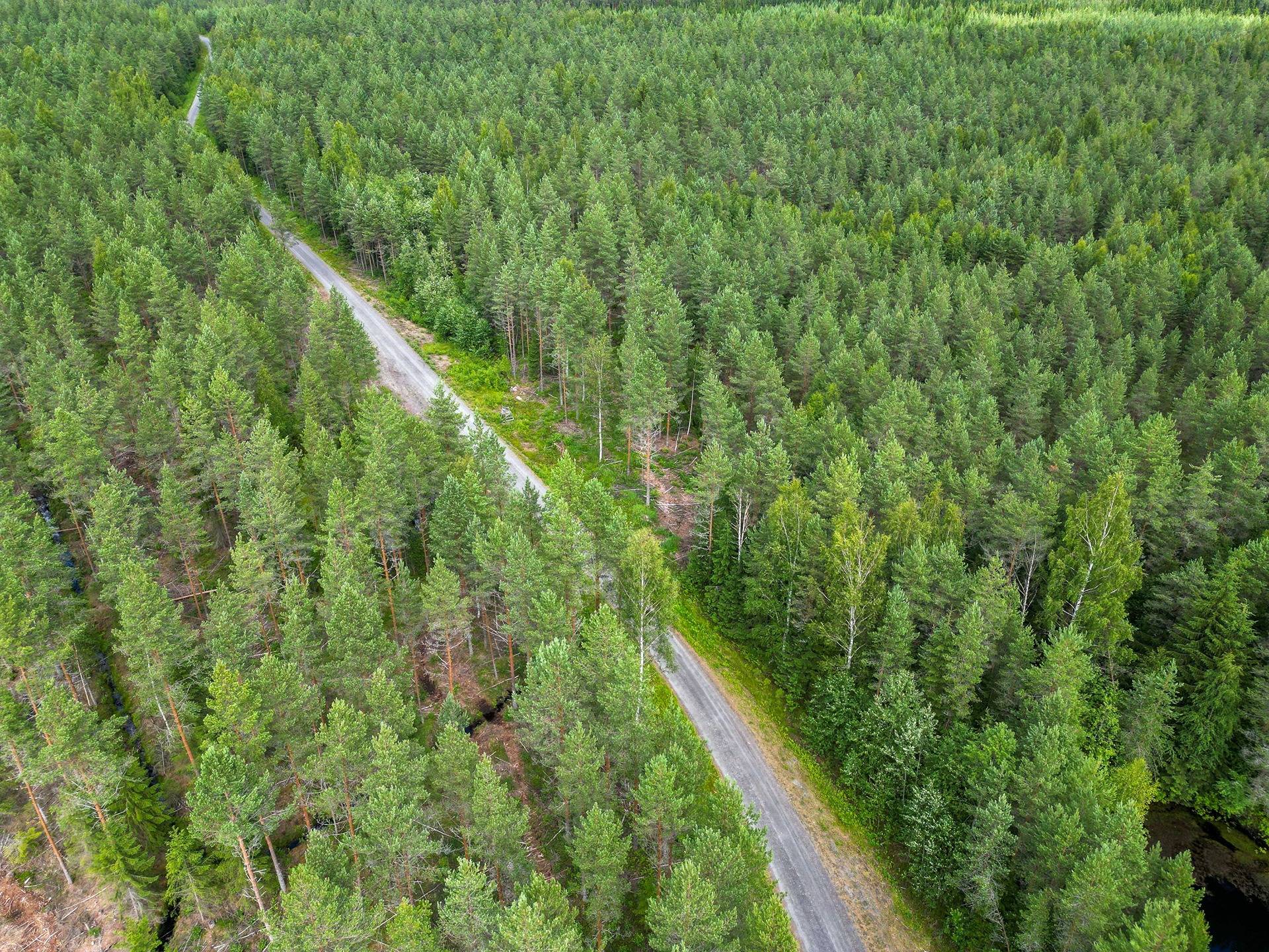 Seinäjoki, Mäenranta 10:120, kaksi palstaa 52