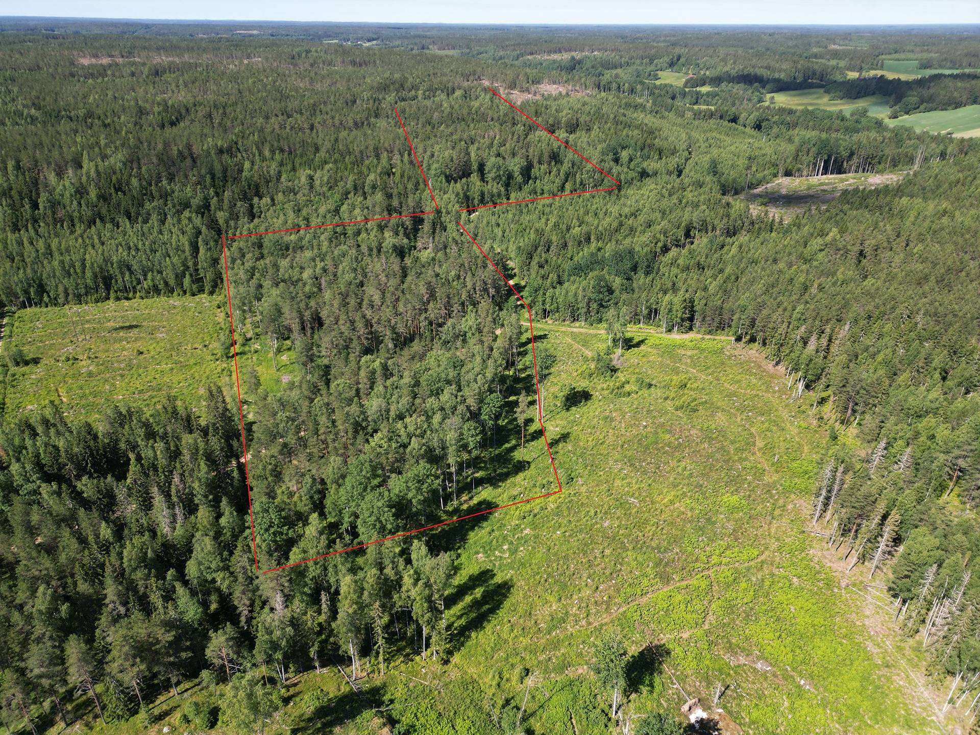 Metsämääräala n. 14, 9 ha Salo, Halikko, Märy 2