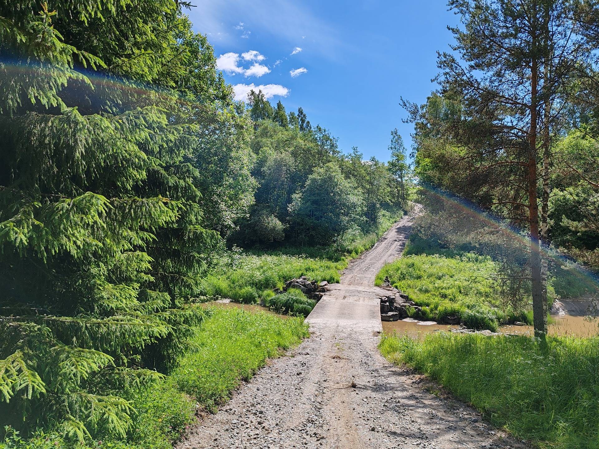 Metsämääräala n. 14, 9 ha Salo, Halikko, Märy 26