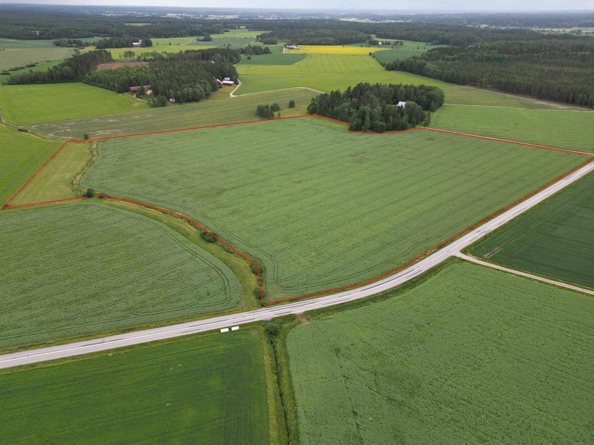 Peltomääräala noin 10,5 ha Salossa Mäenalantien varressa 1