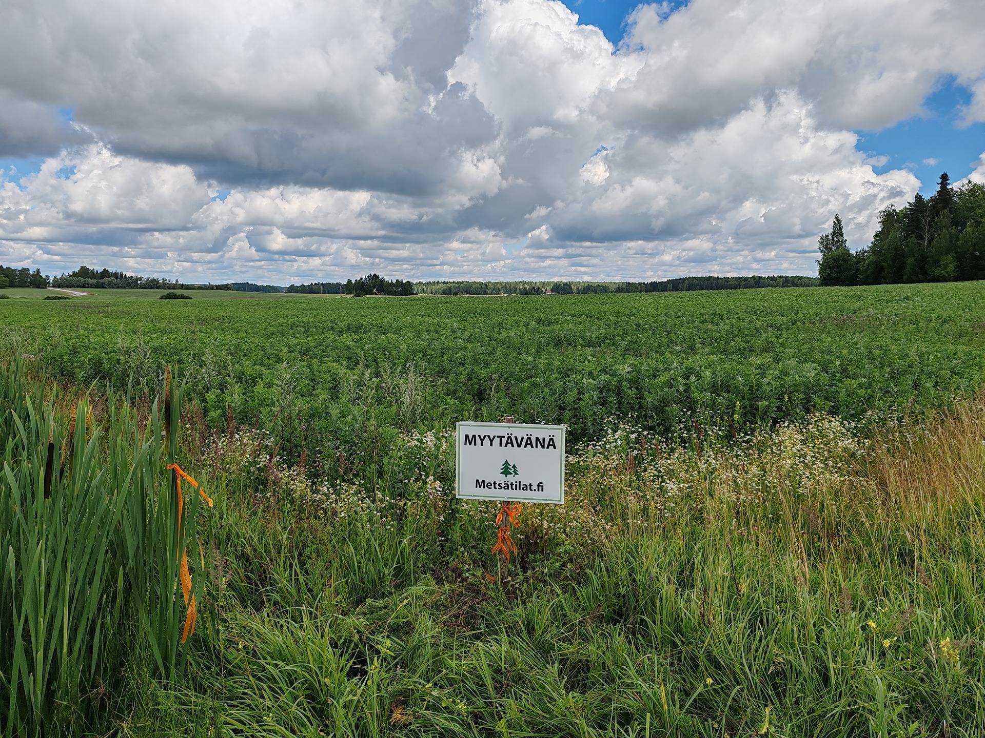 Peltomääräala noin 10,5 ha Salossa Mäenalantien varressa 6