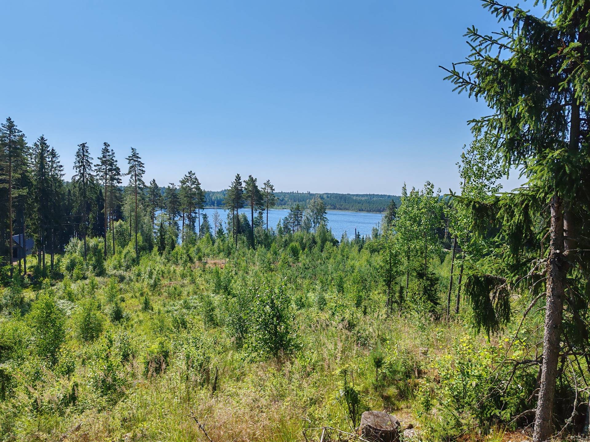 Metsätila Iines Ankka 2:38 Salon Varesjärven maisemissa 1