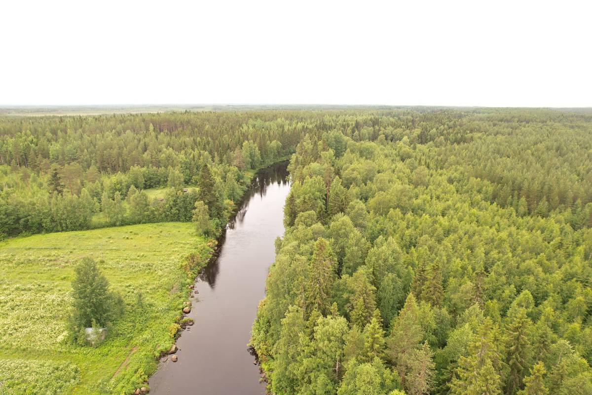 Omslagsbild för objektet LEHTO 889-411-20-13 9,156 ha n. 11 km Utajärven kk:ltä Kemilänkylässä