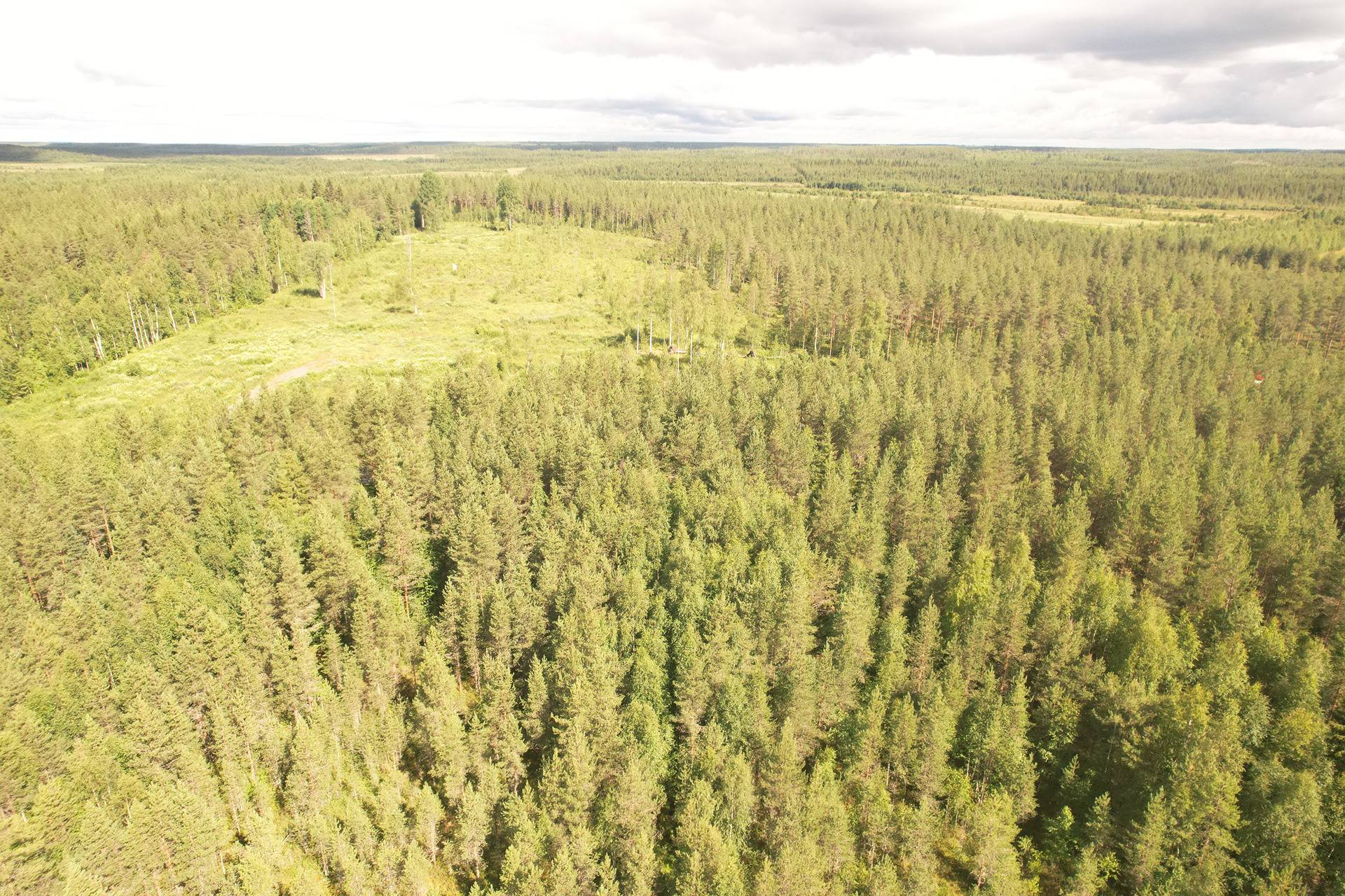 PEHKOLA 889-411-20-14 metsäkiinteistö 49,87 ha Kemilänkylässä n. 9 km Utajärven kk:ltä 4