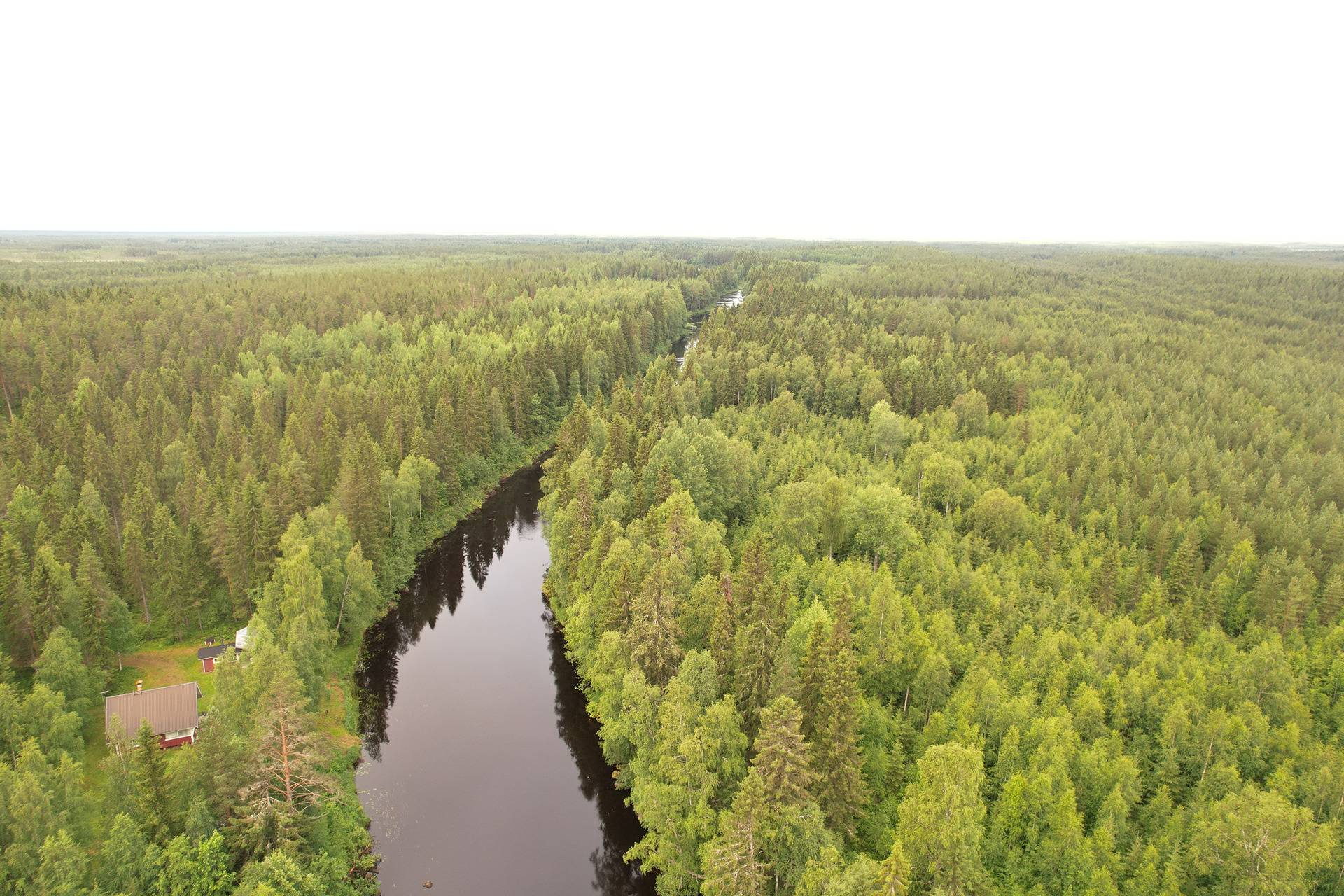 PEHKOLA 889-411-20-14 metsäkiinteistö 49,87 ha Kemilänkylässä n. 9 km Utajärven kk:ltä 20