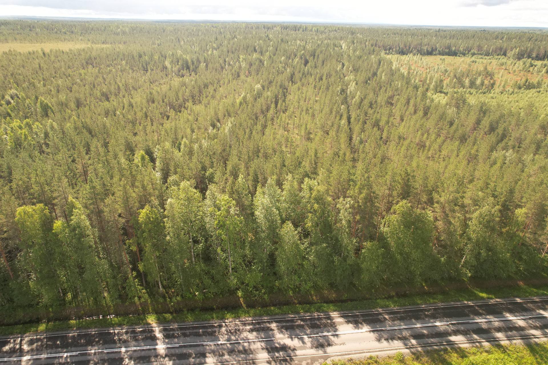 PEHKOLA 889-411-20-14 metsäkiinteistö 49,87 ha Kemilänkylässä n. 9 km Utajärven kk:ltä 2
