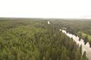 PEHKOLA 889-411-20-14 metsäkiinteistö 49,87 ha Kemilänkylässä n. 9 km Utajärven kk:ltä 16