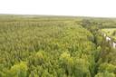 PEHKOLA 889-411-20-14 metsäkiinteistö 49,87 ha Kemilänkylässä n. 9 km Utajärven kk:ltä 22