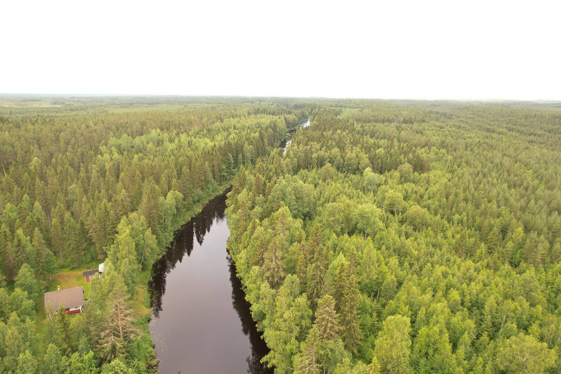 Cover photo for the object PEHKOLA 889-411-20-14 metsäkiinteistö 49,87 ha Kemilänkylässä n. 9 km Utajärven kk:ltä