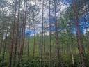 PEHKOLA 889-411-20-14 metsäkiinteistö 49,87 ha Kemilänkylässä n. 9 km Utajärven kk:ltä 24