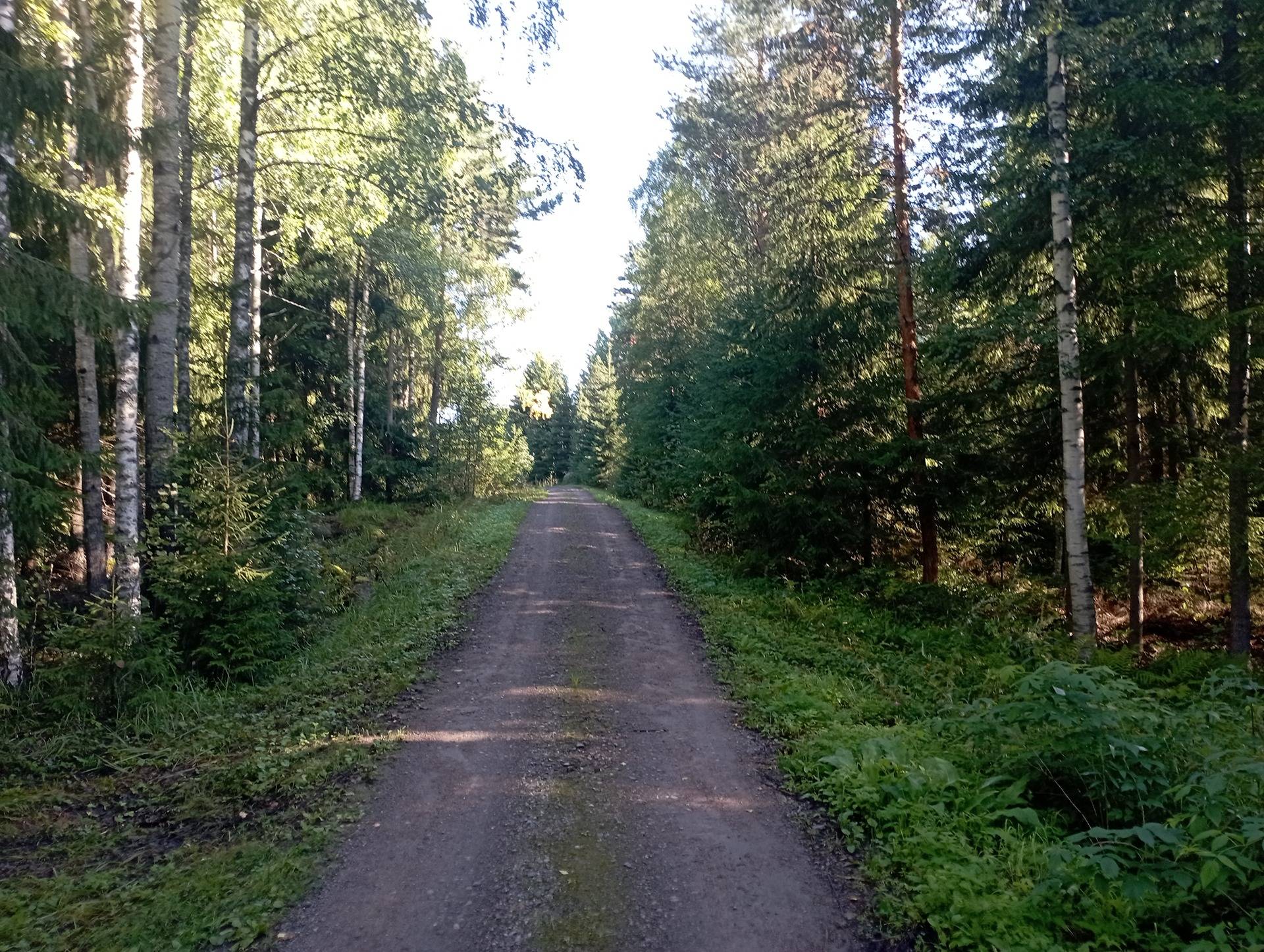 Kansikuva kohteelle Metsätilat Ala-Kivelä ja Sivu-Kivelä