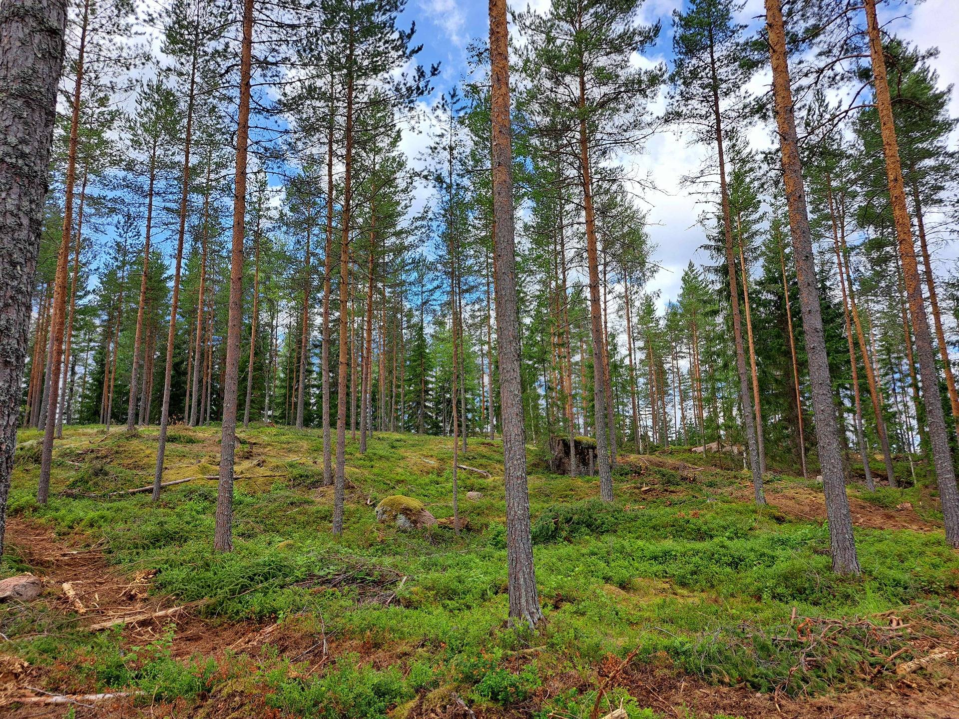 Kansikuva kohteelle Korpi 286-472-6-52 ja Etu-Lampila 286-472-7-45(määräala)