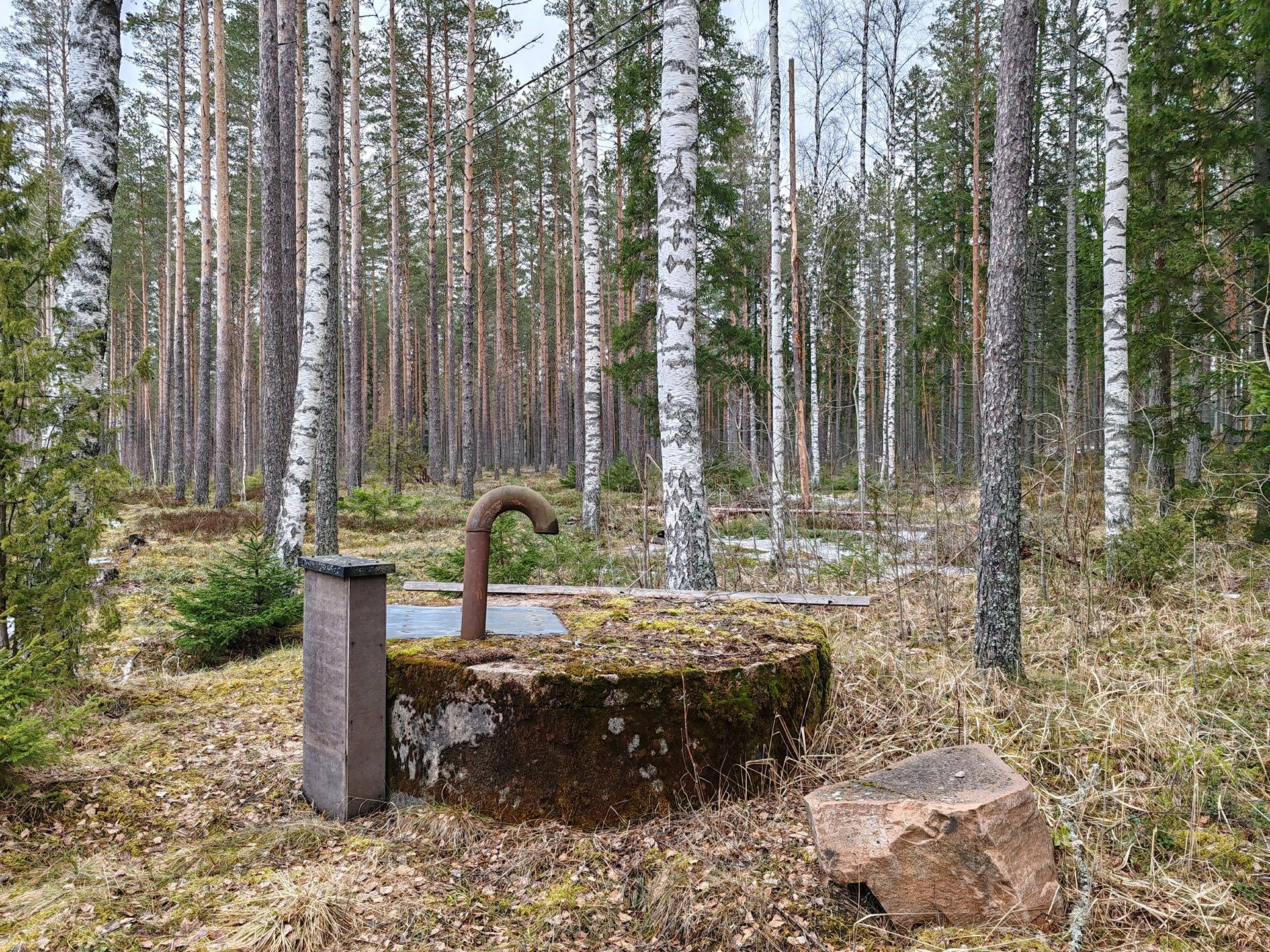 Metsätila Ojanperä 1:197, Salo, Teijo 7