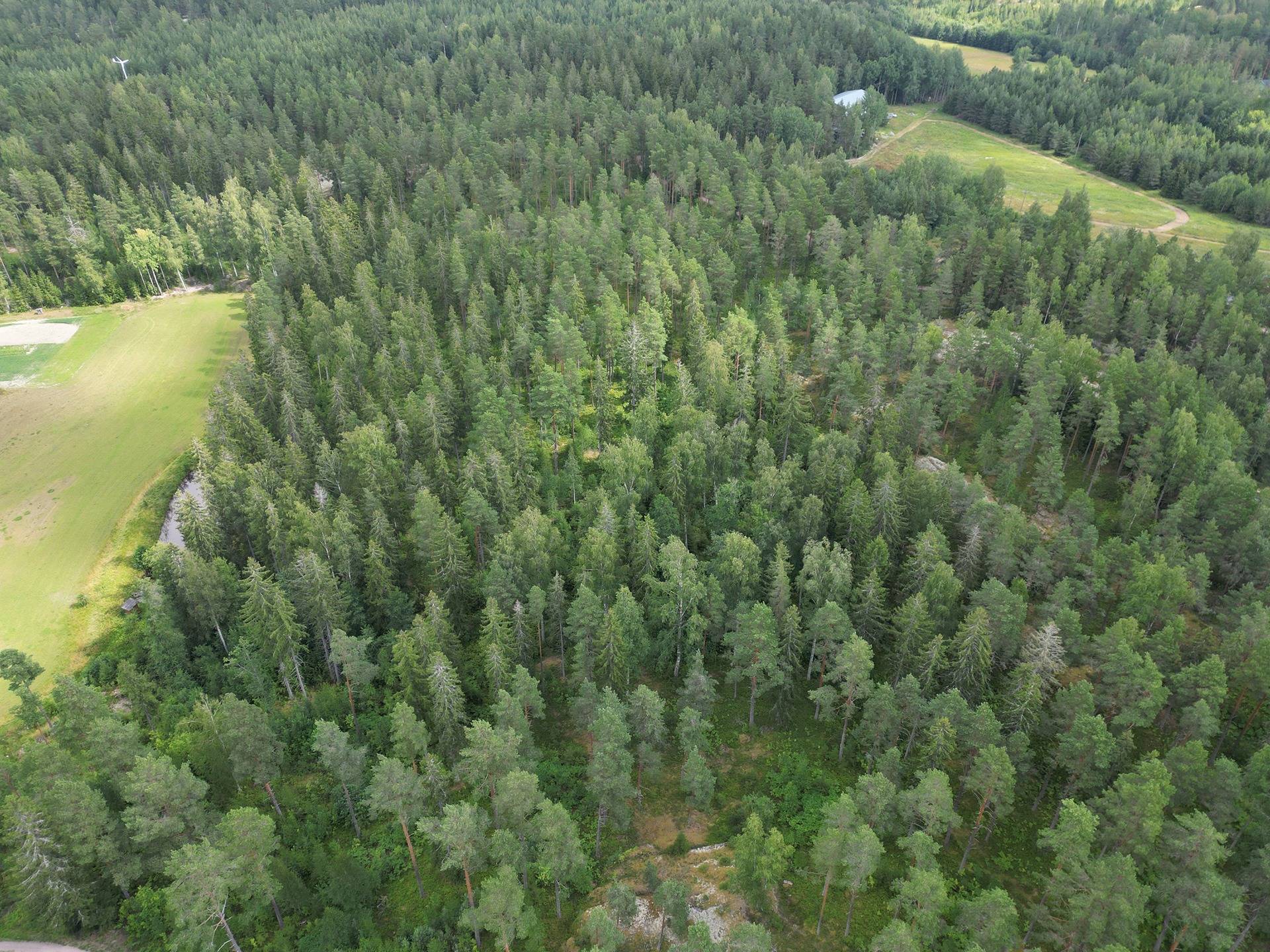 Salo, Kirjakkala, metsämääräala 9,67 ha tilasta Kallio 1:152 5
